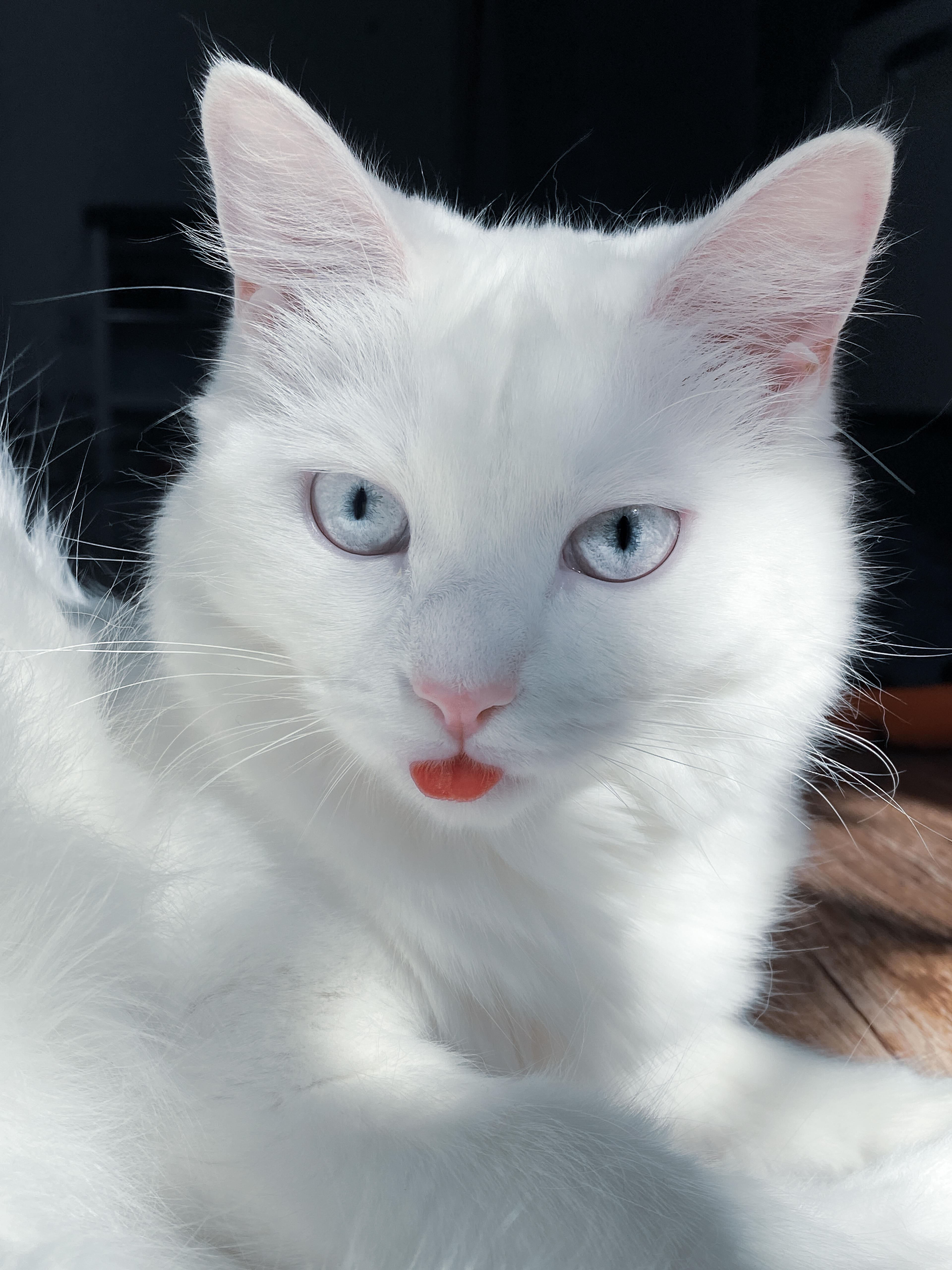 cf2f2792-b1d7-420f-b25a-b466f2578d47.jpeg