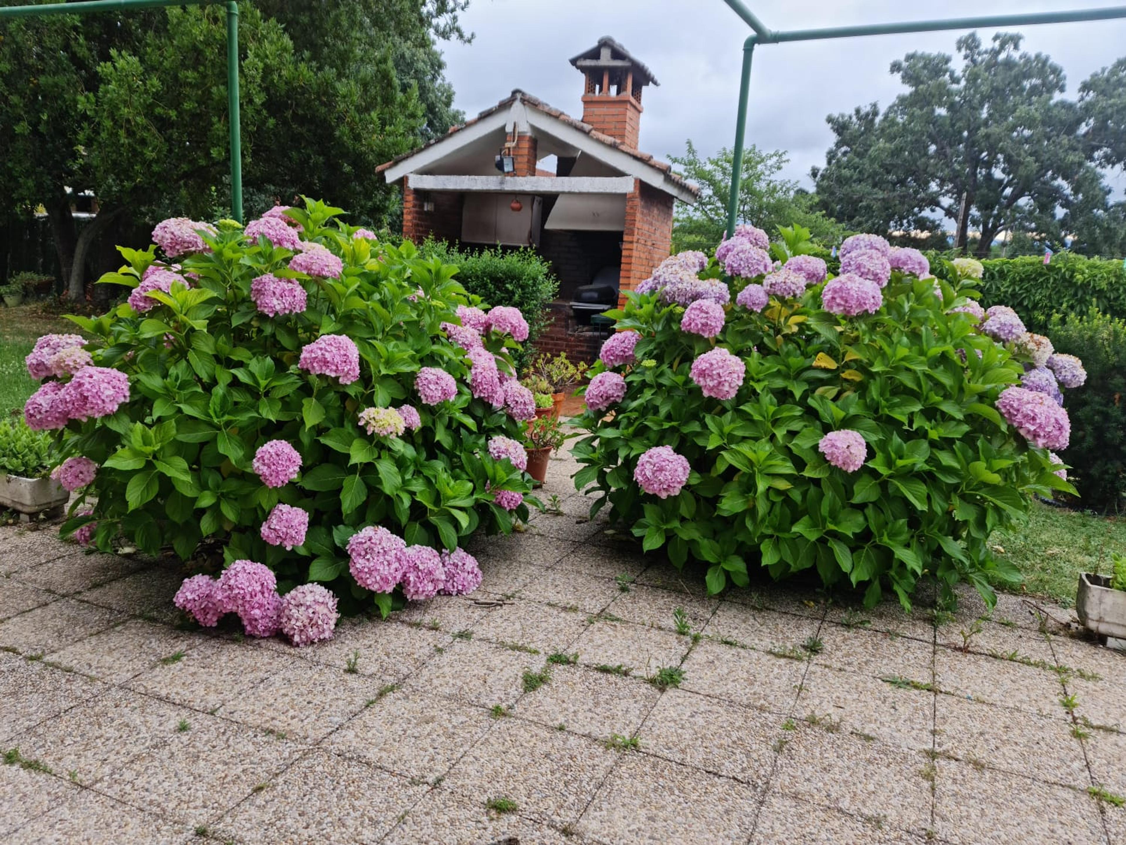 cf5baff6-aeef-449e-9b54-d72be4c61b19.jpeg