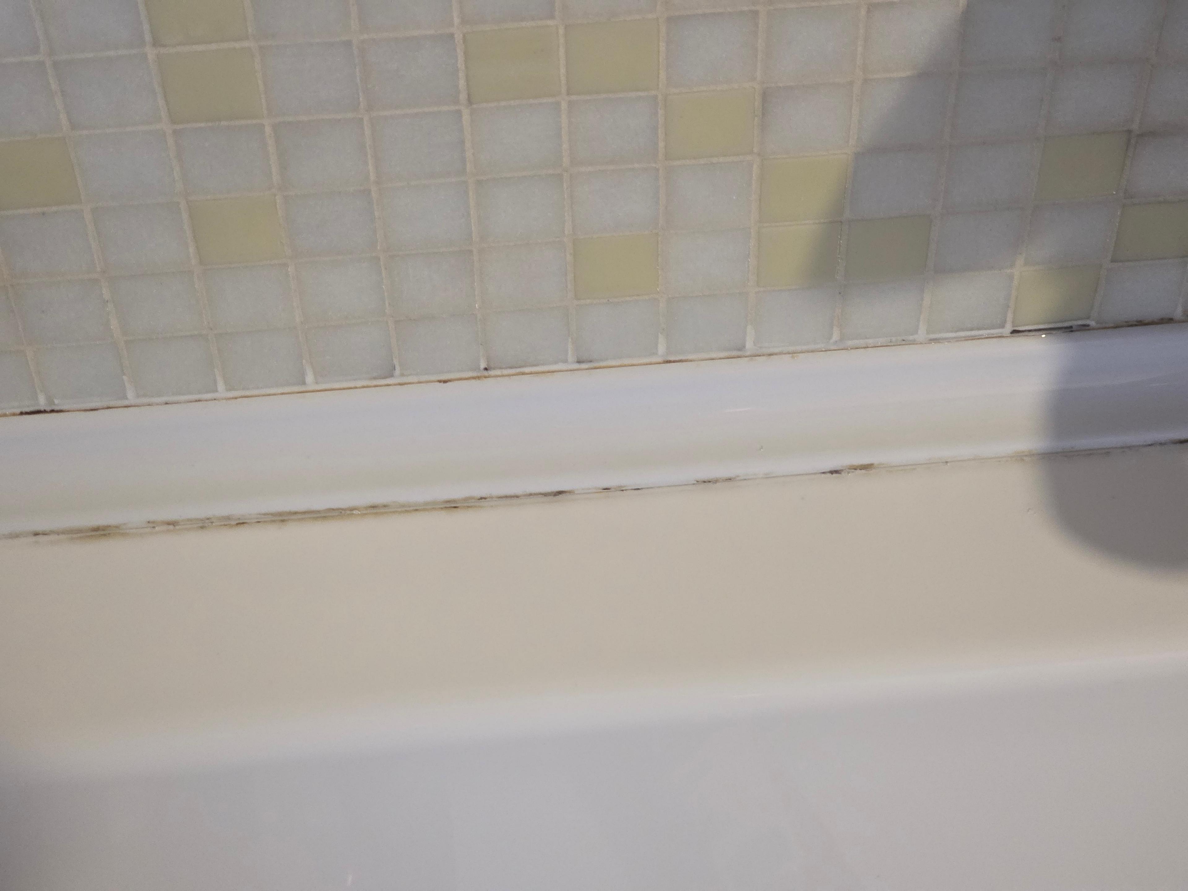 cf6e0682-9581-44e3-a76d-aede6fd057fb.jpeg