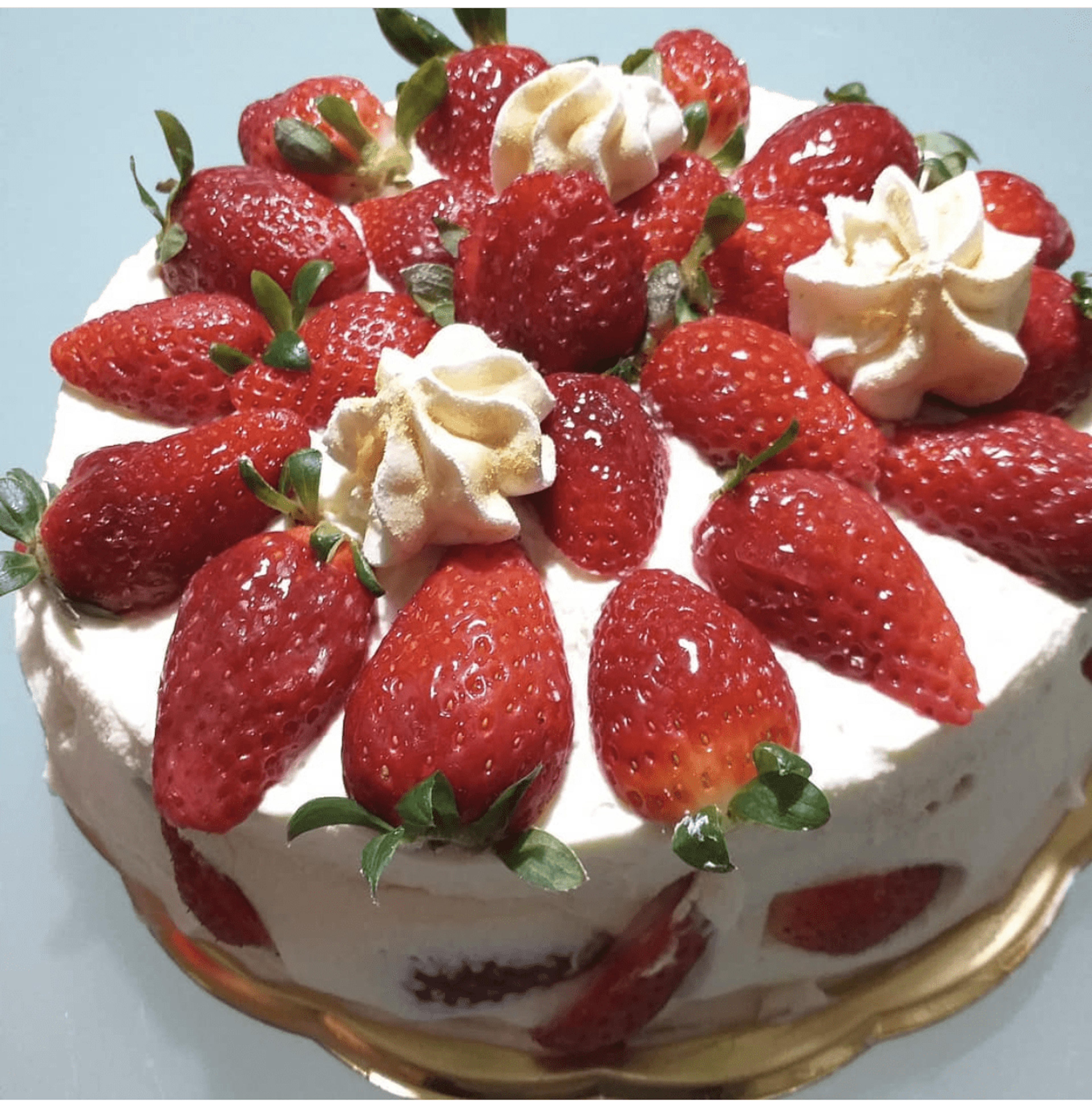 cfddba40-8b43-4766-88a1-5f5cf3d9ea12.png