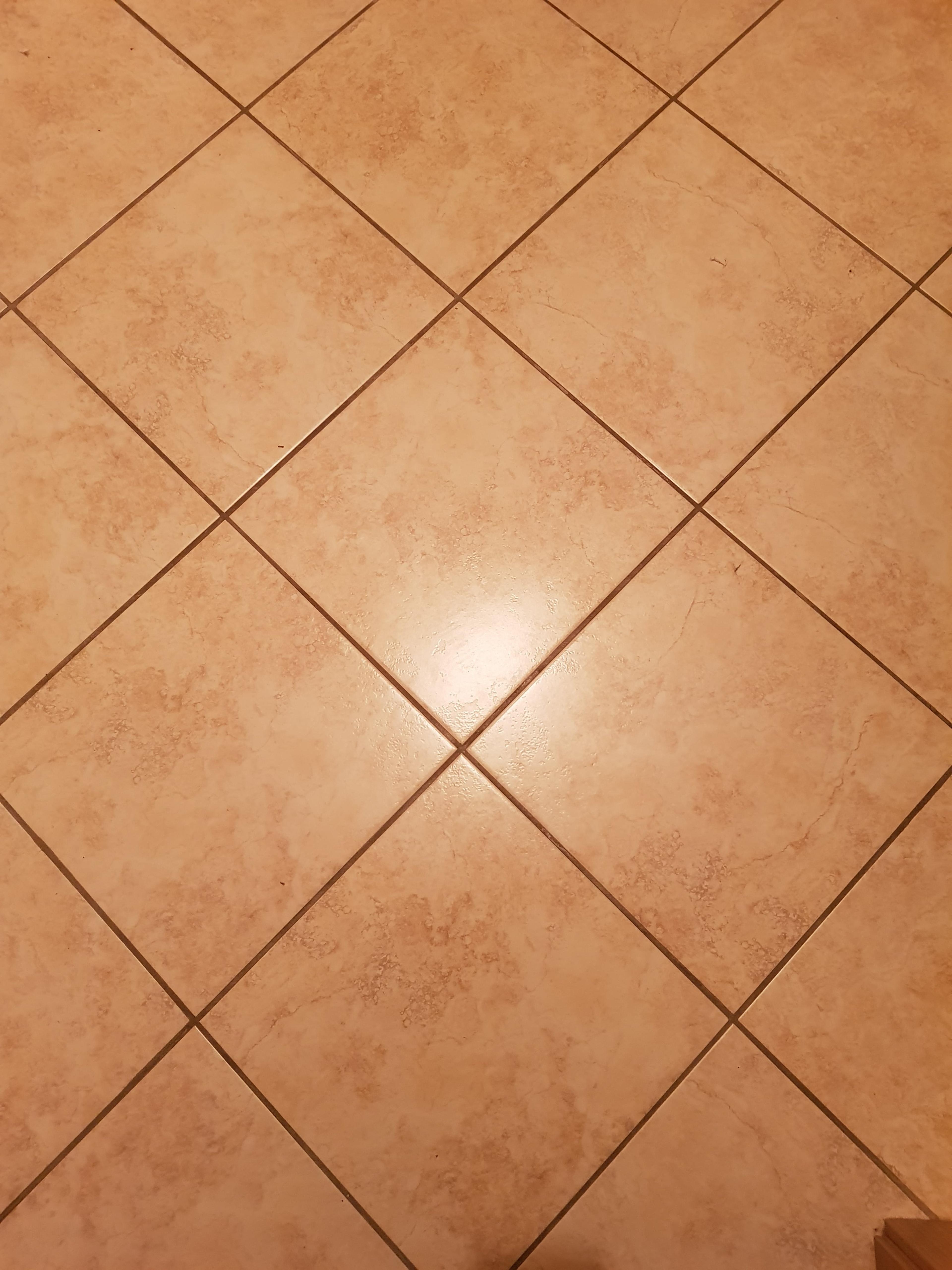 cffd4493-df5a-4a8c-a9b9-8c31373d978a.jpeg