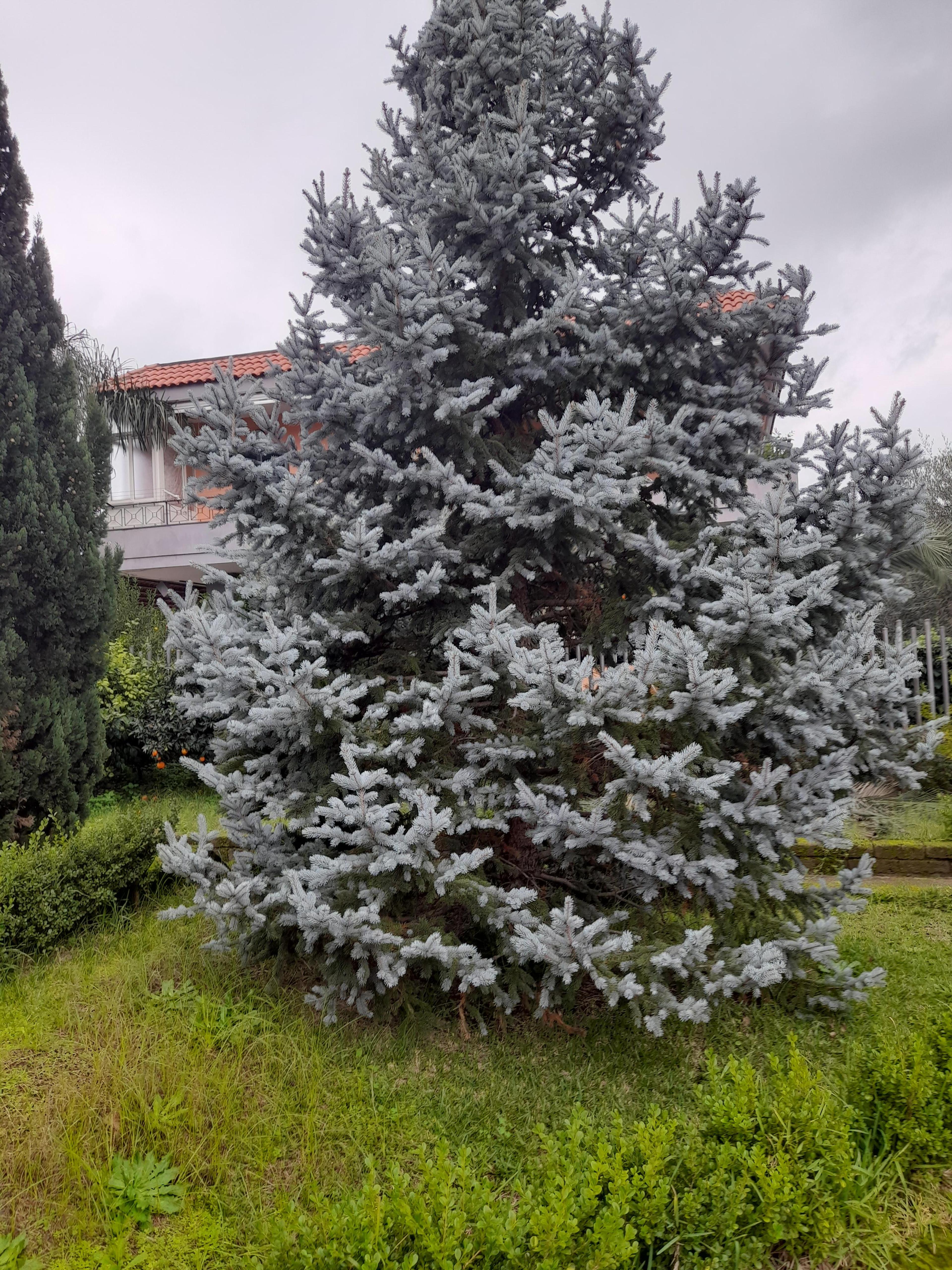 d00adc40-7e30-45d6-a3dd-581f5ed85b5c.jpeg