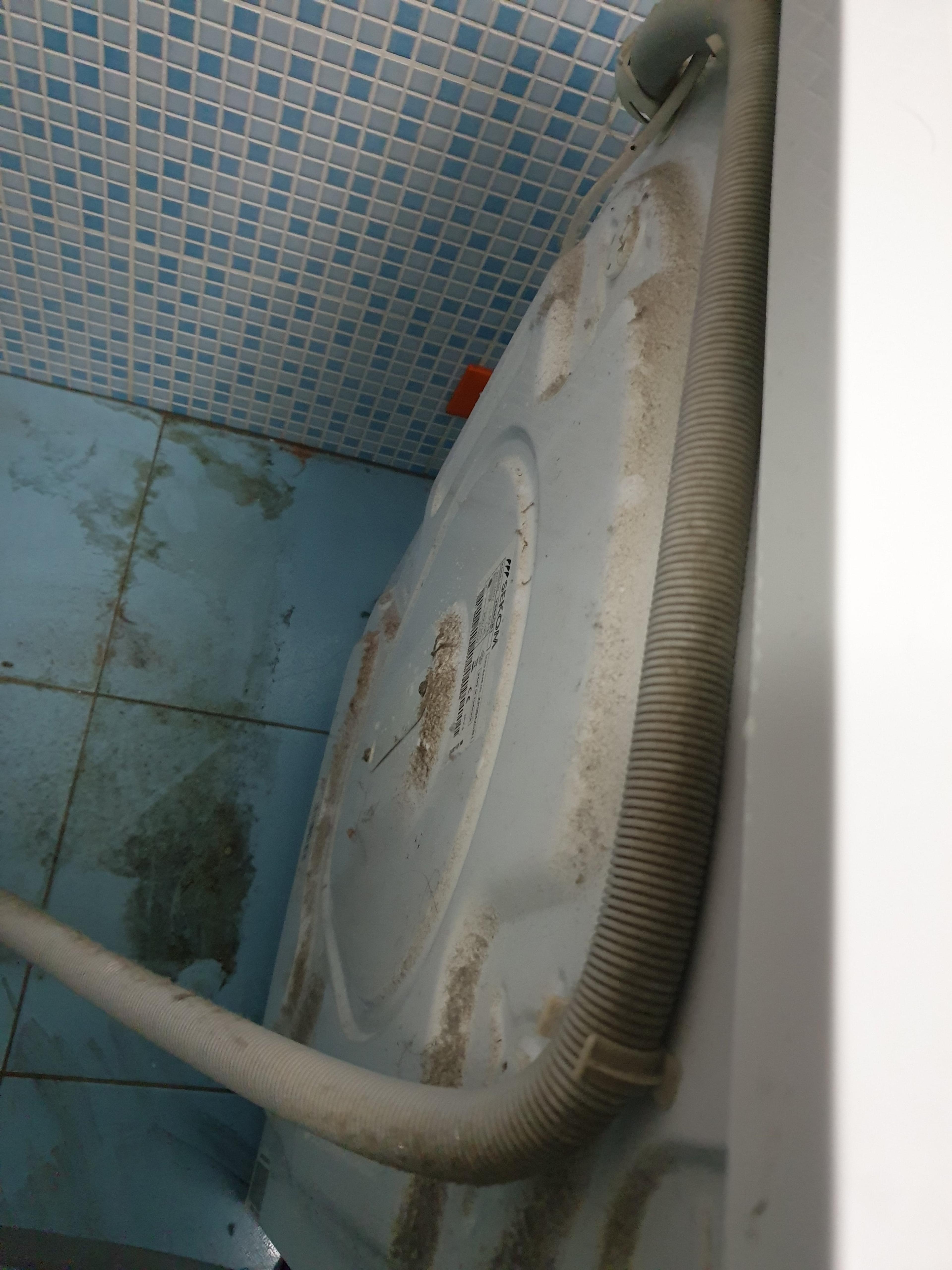 d054aea2-42ae-47b4-96a6-2628bb576aa0.jpeg