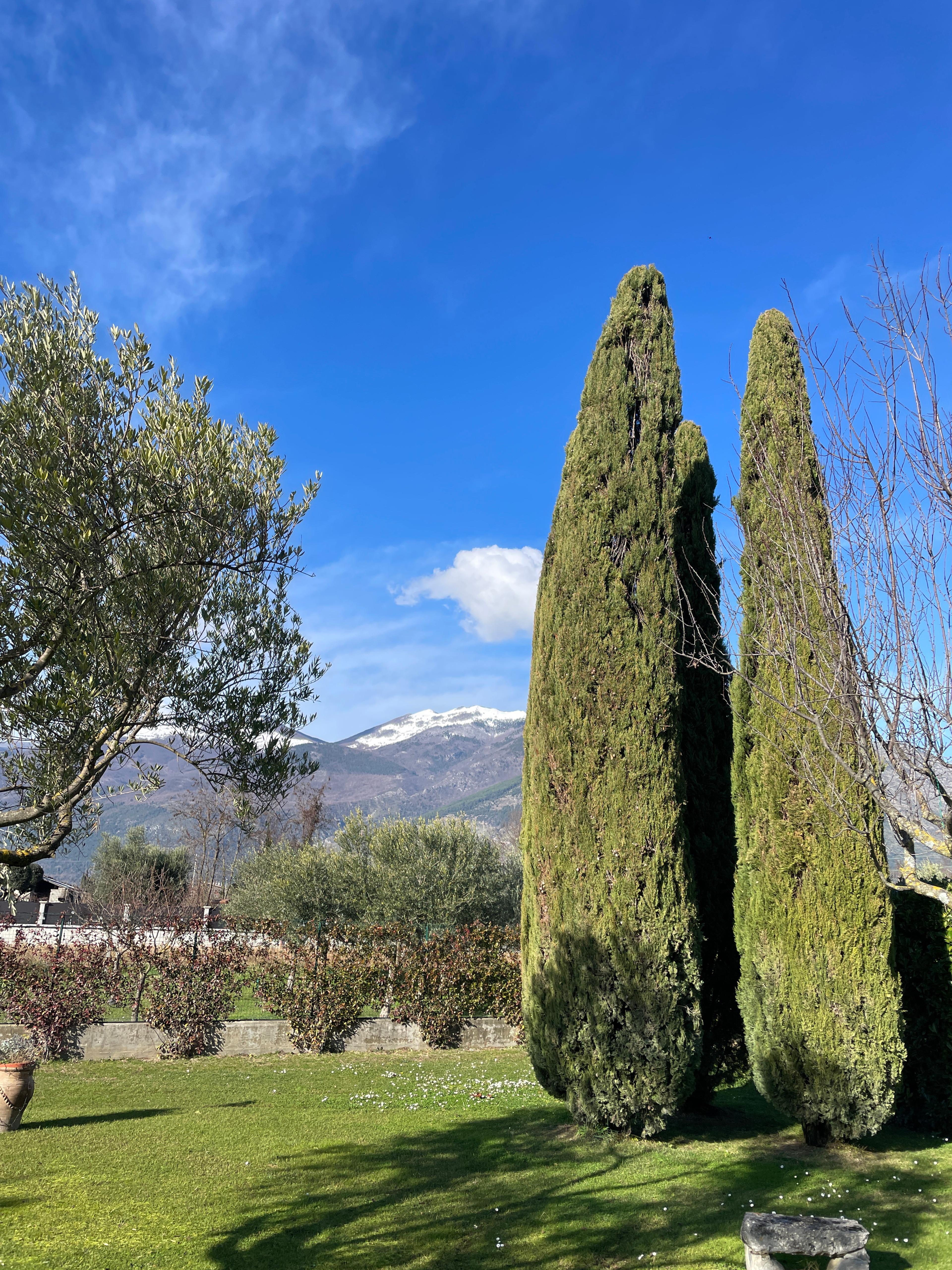 d096366a-46b5-4055-b486-1b63982c30d8.jpeg