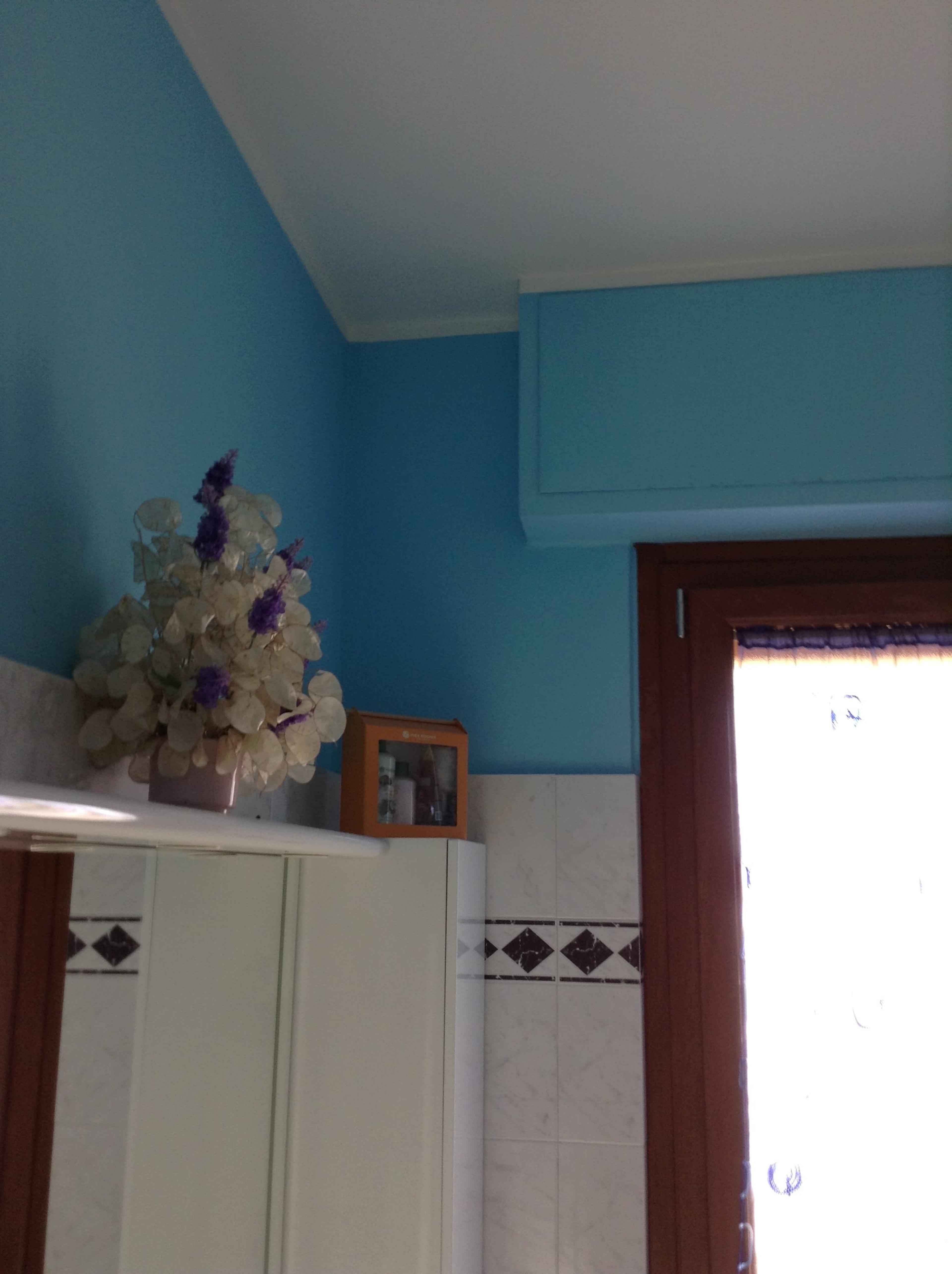 d0d05cef-49fe-427c-a70e-370295e91a17.jpeg