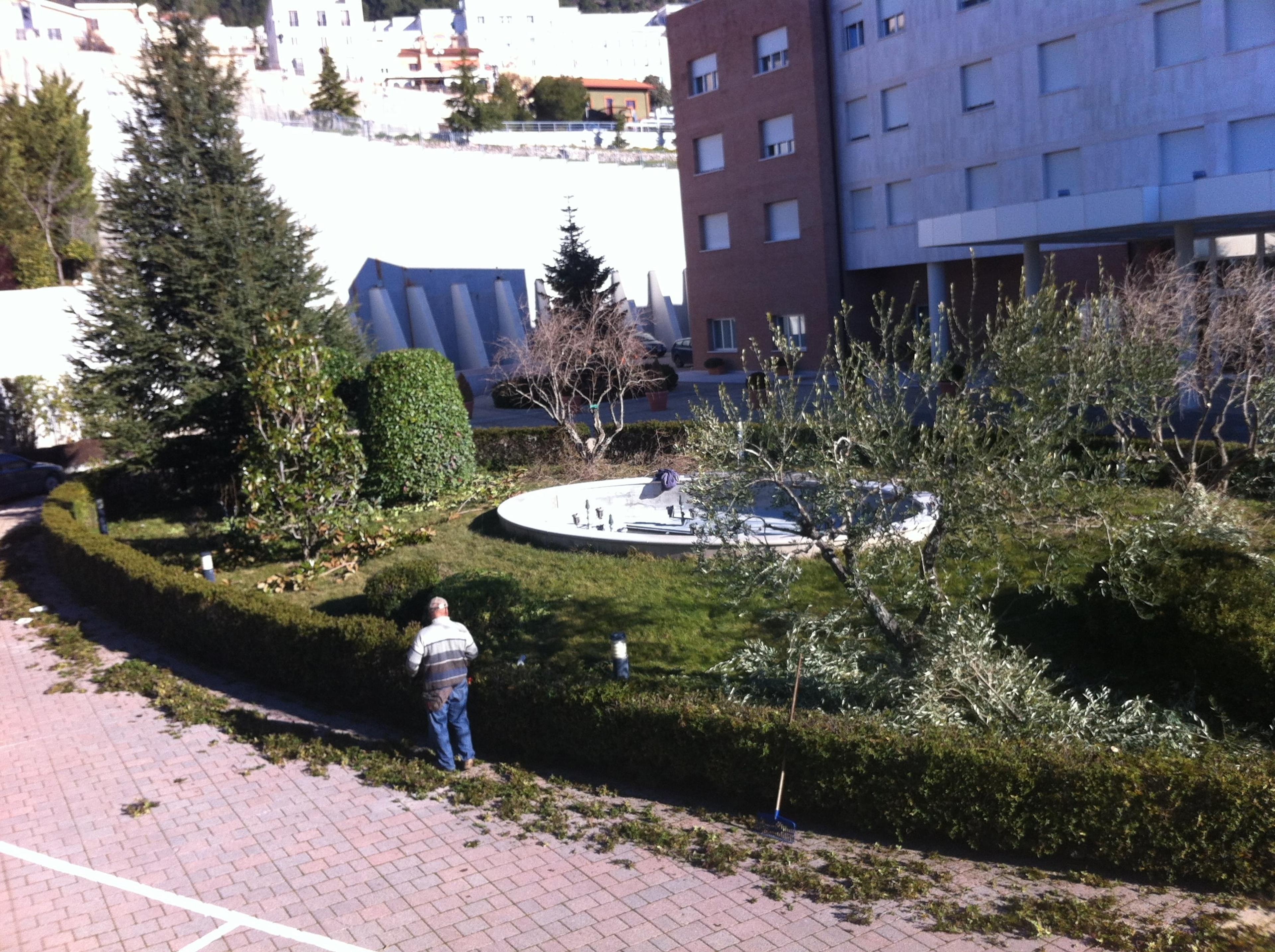 d1f29517-bbbe-4a13-b7b0-3349ee067a1c.jpeg