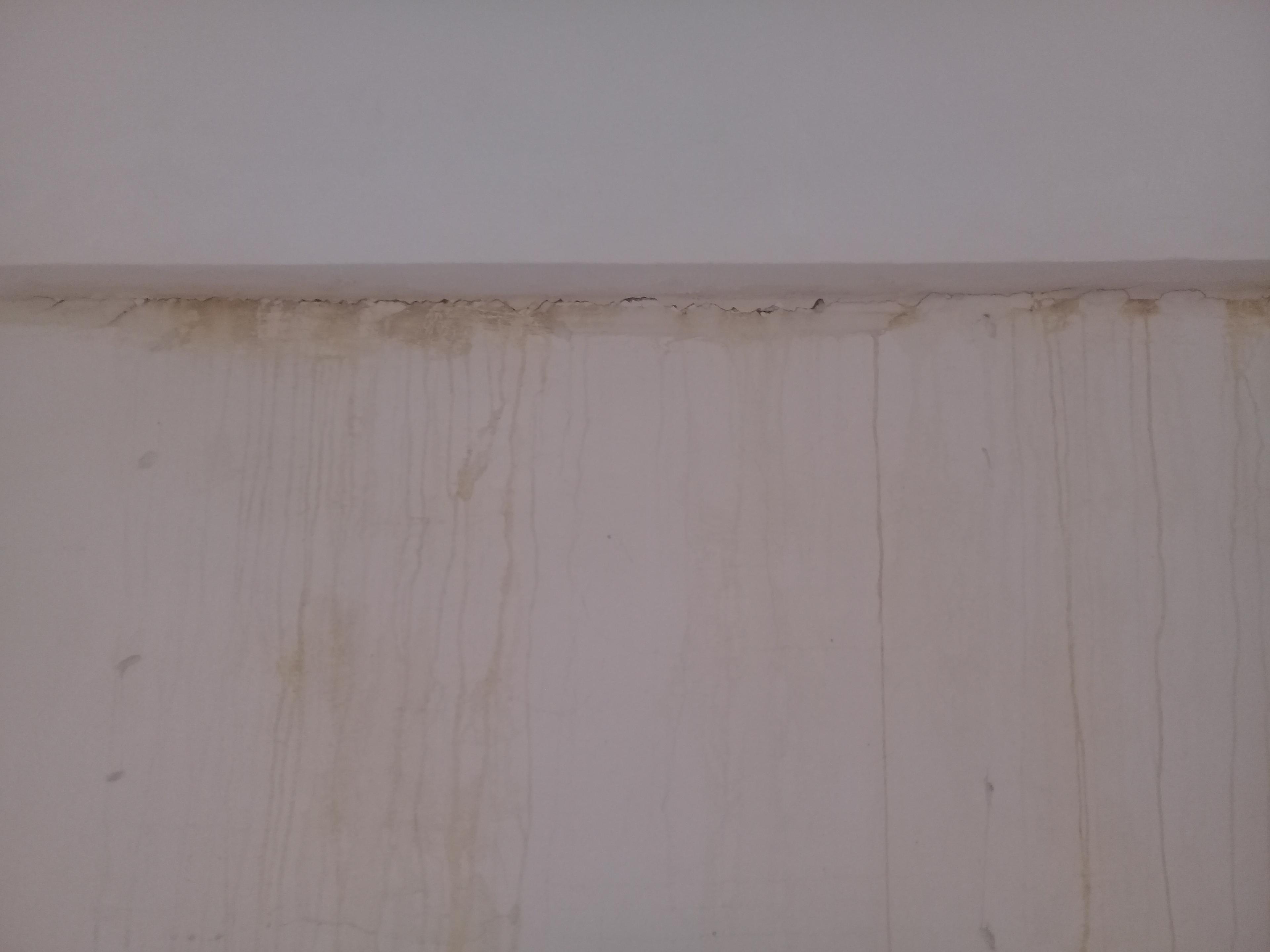 d2402fe5-4d48-4a07-9b31-7ecce1c3fe62.jpeg