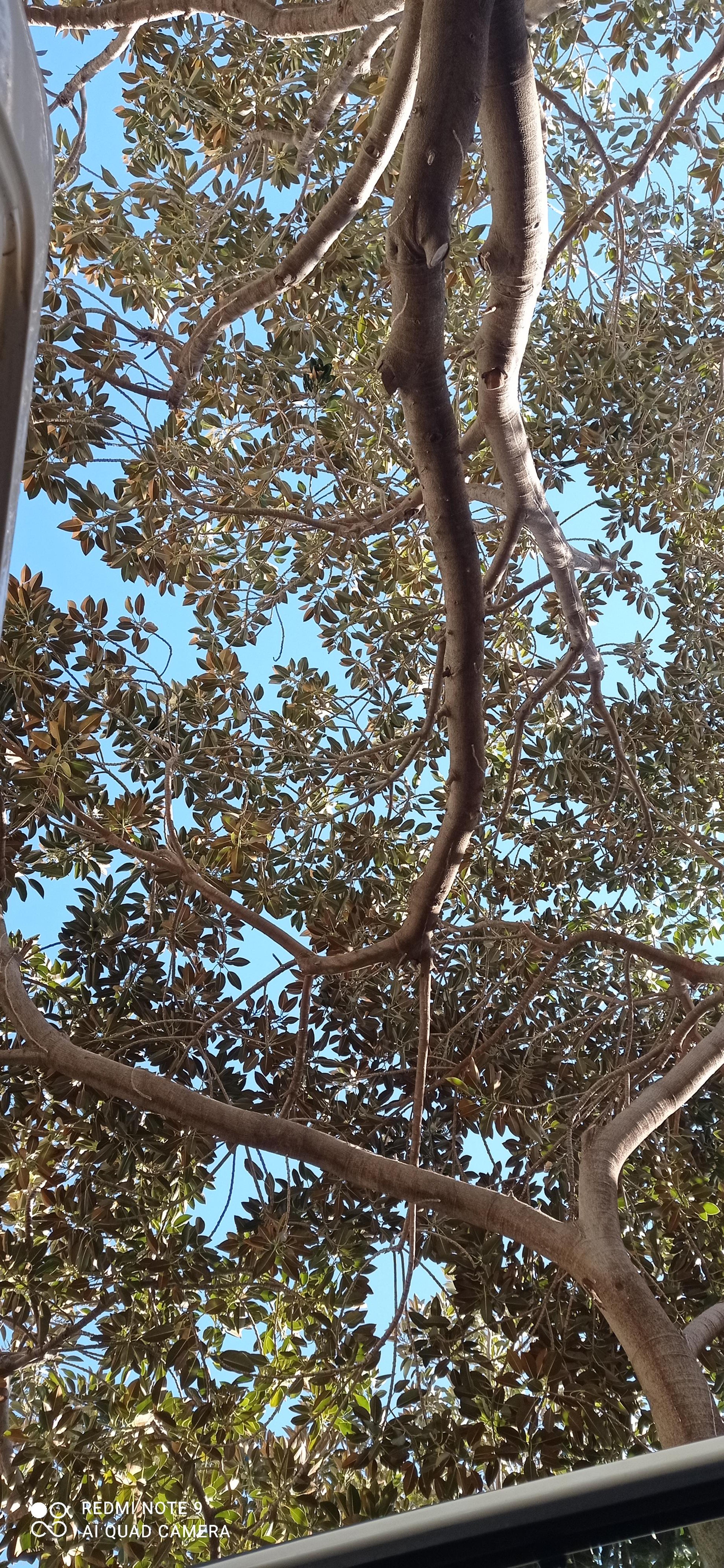 d249fa65-23a2-4afb-a3be-a6abf123a80c.jpeg