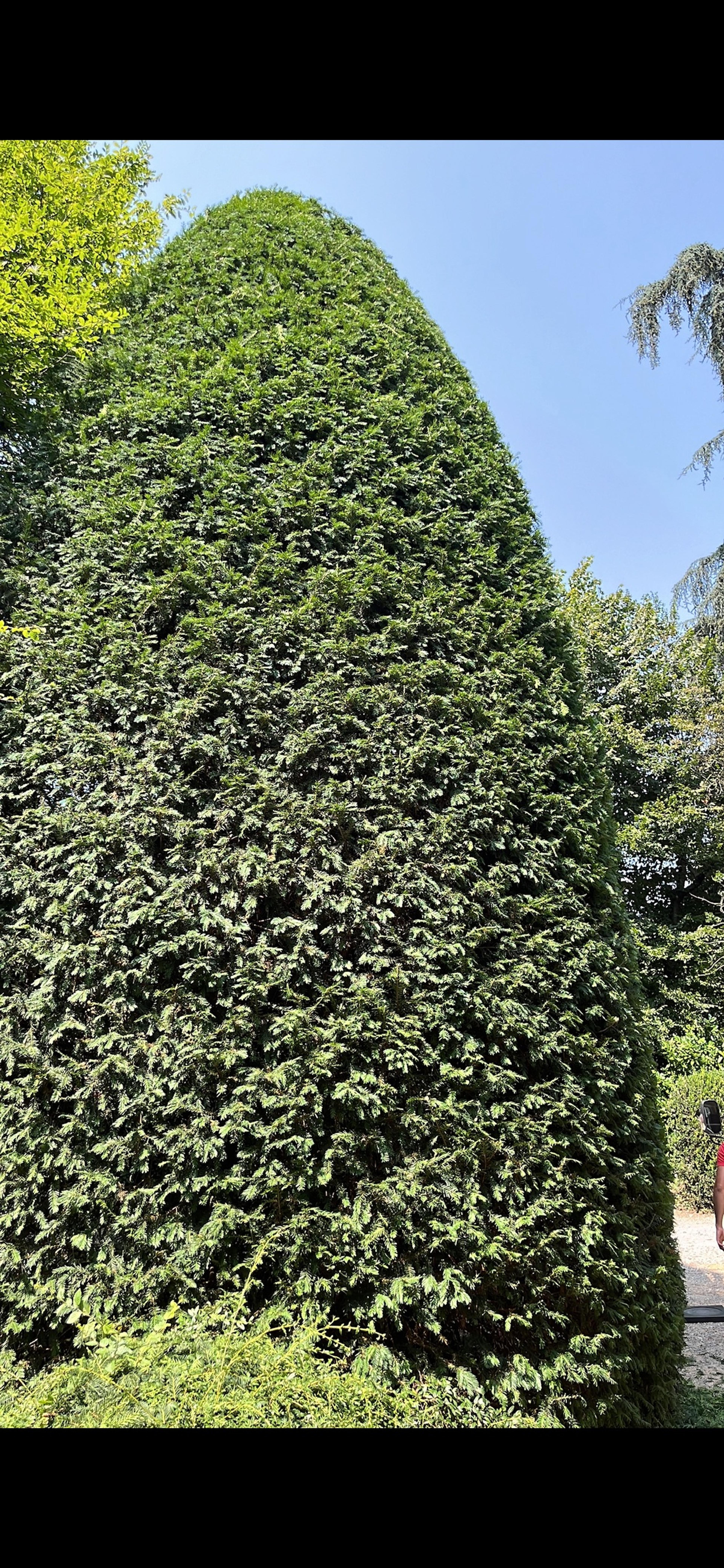 d25f8e73-6d32-48ac-8340-87651e6384bf.jpeg