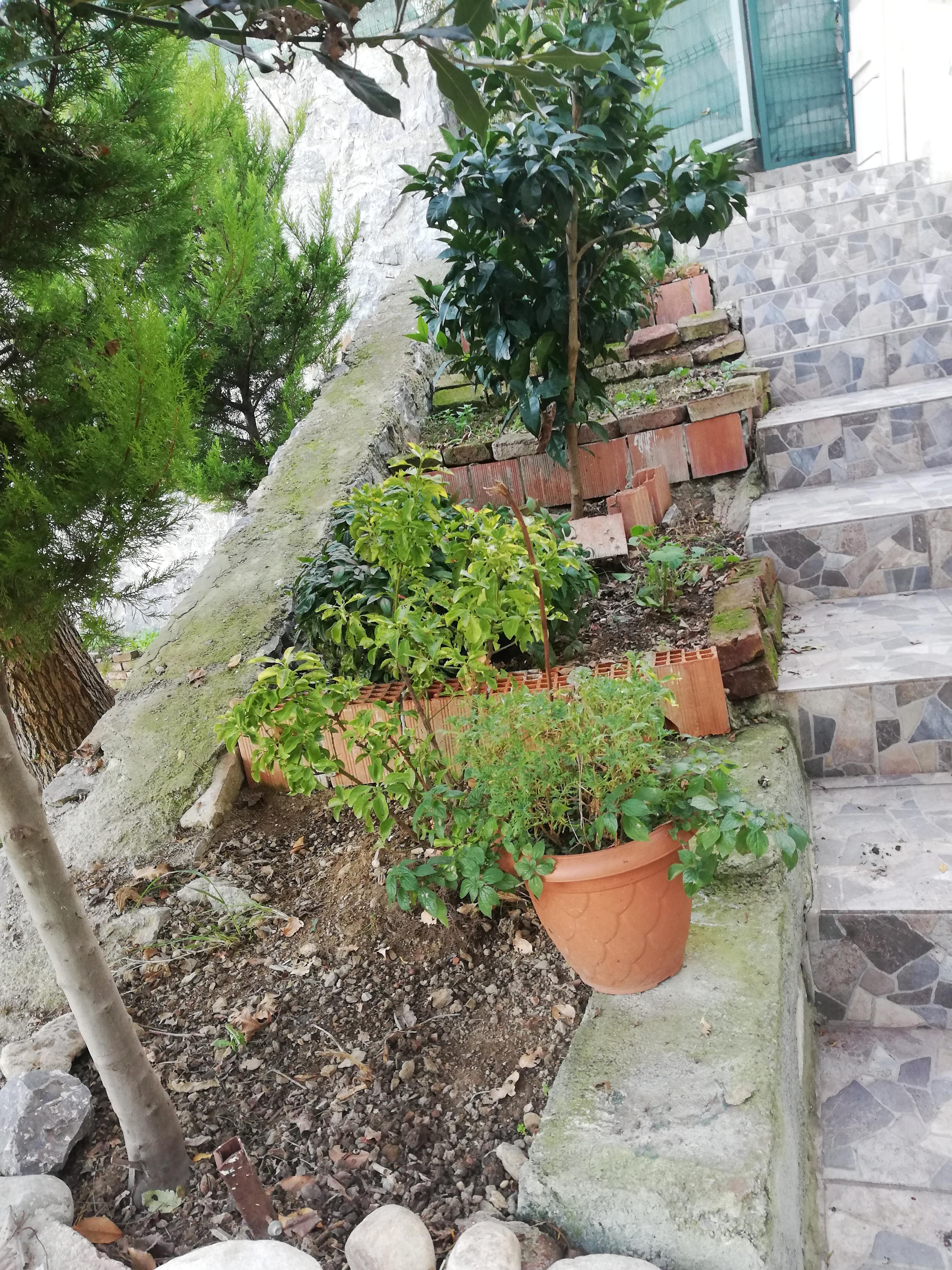 d2834835-6f2f-41c4-b3b5-669573e5d9a8.jpeg
