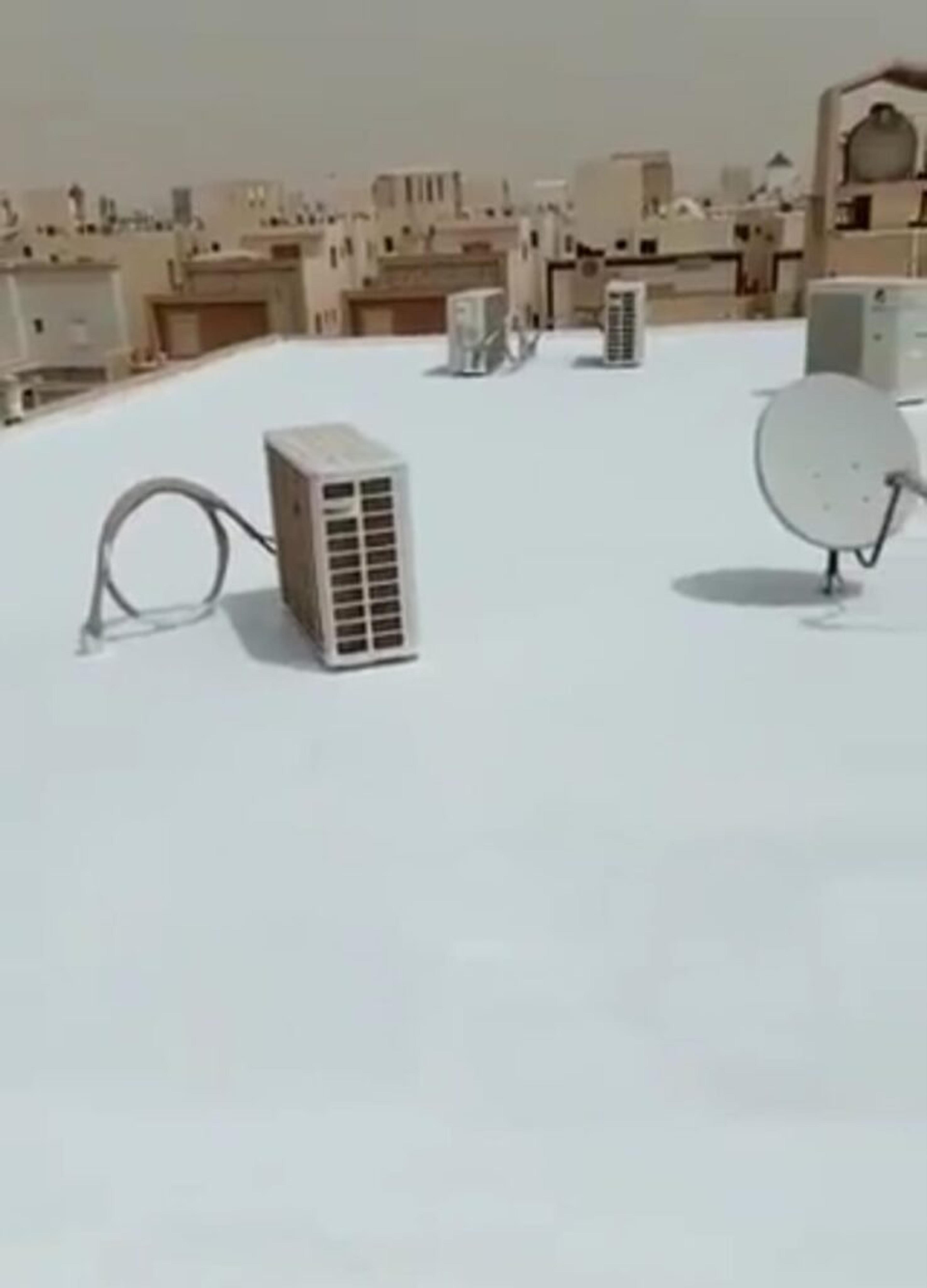 d283e910-a213-481f-aa72-4d39b02744ba.jpeg