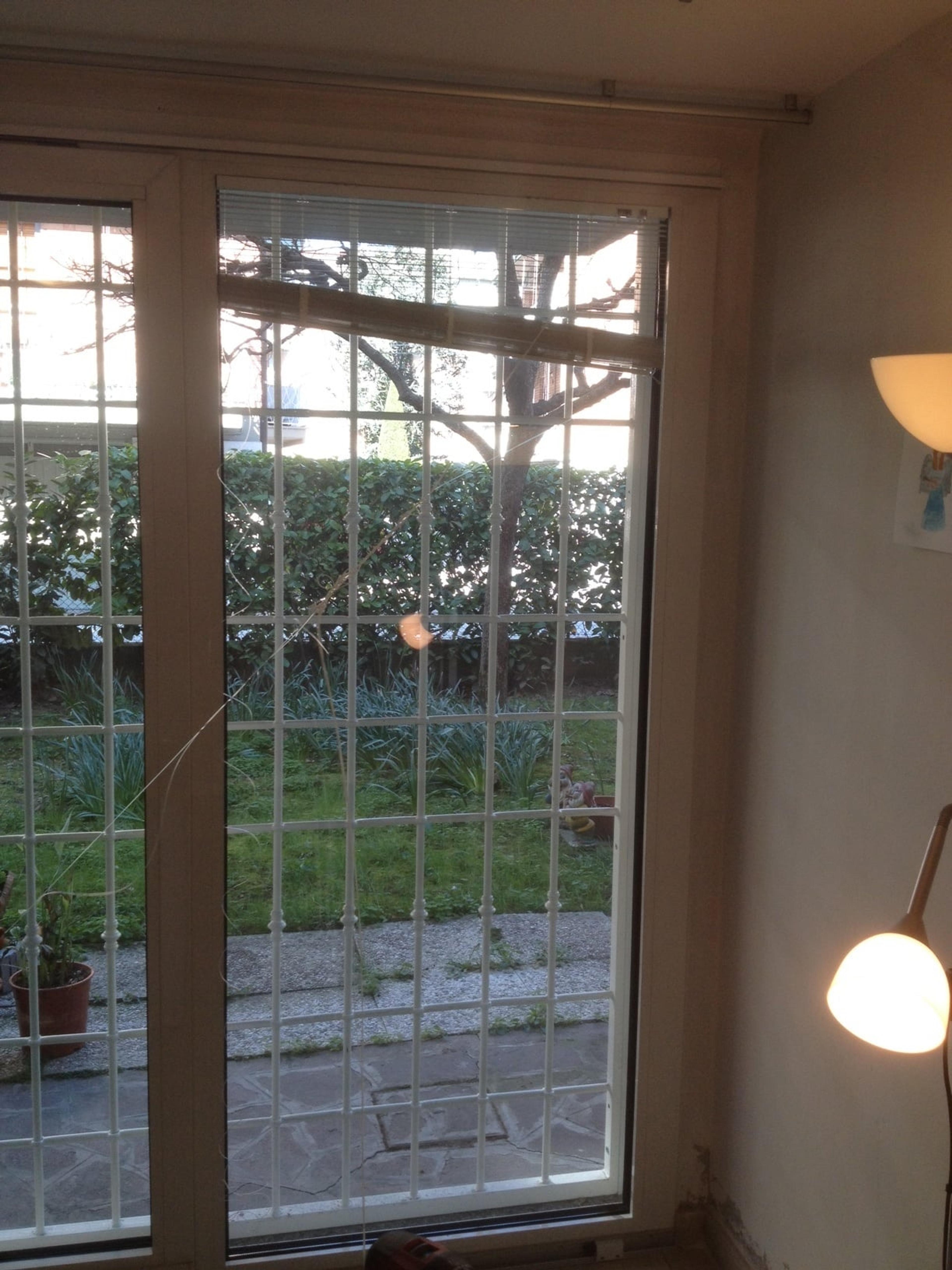 d285aac0-a5d2-45c9-992c-6c23fccba1a9.jpeg