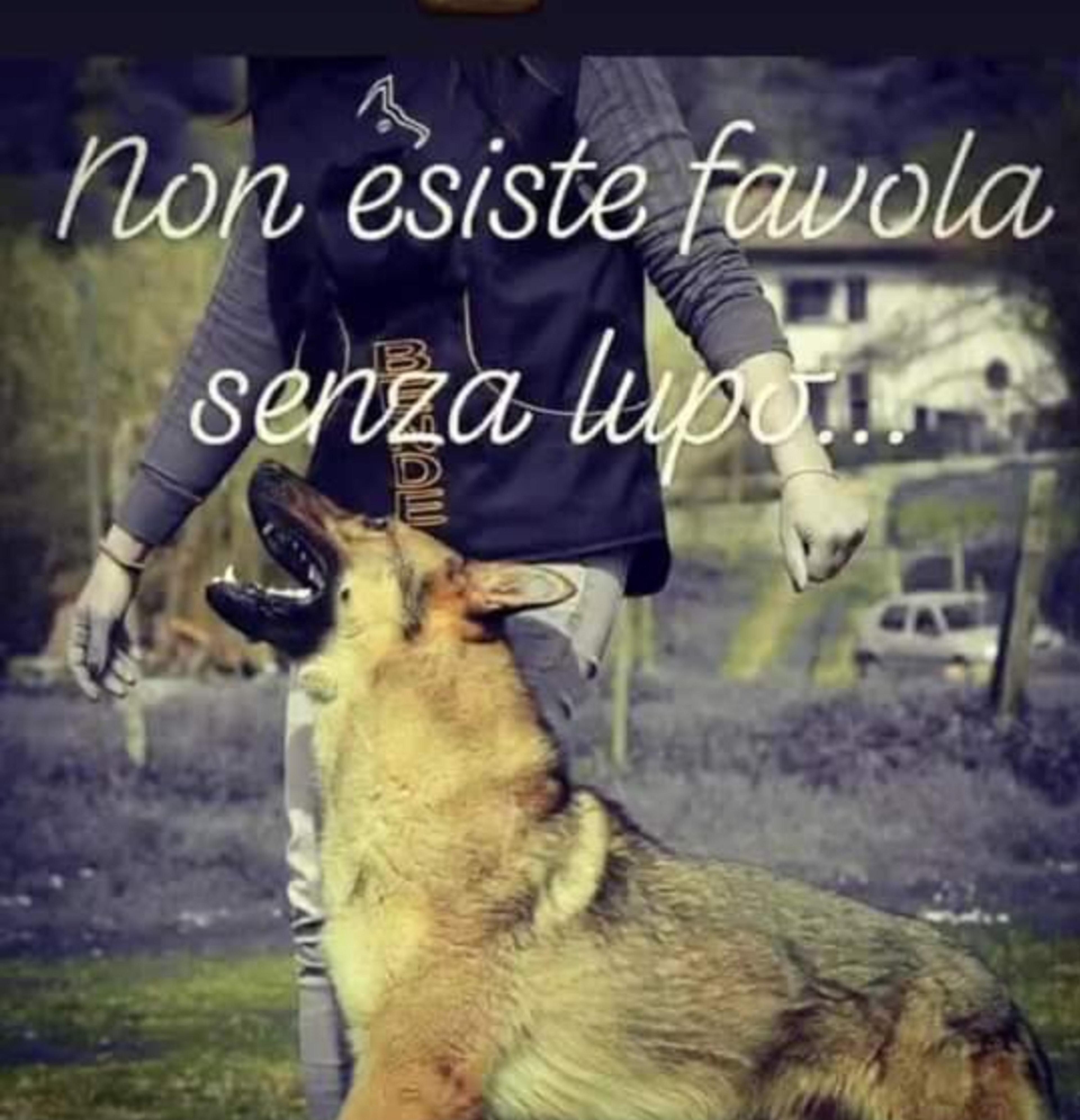 d33cf14f-5e9d-412b-9355-e5bbf03687cd.jpeg