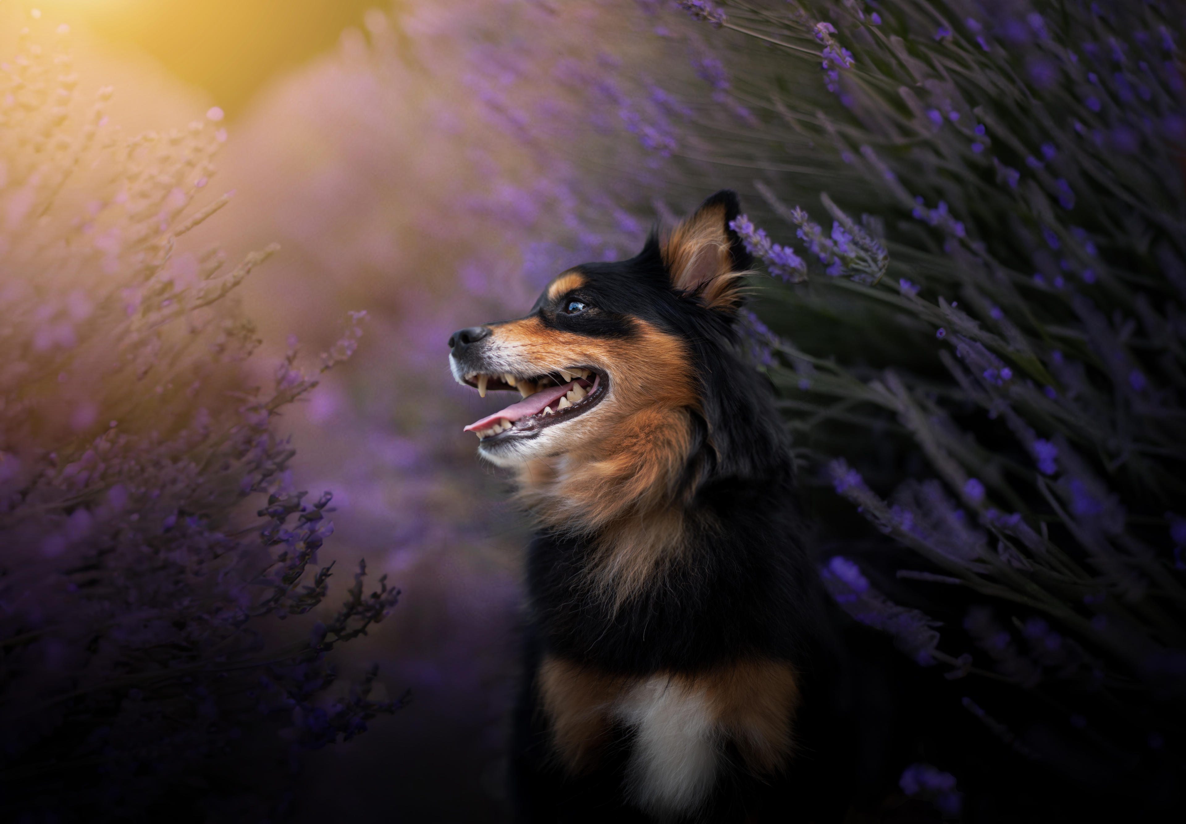 d34623fb-d9ce-49e2-977d-99d5534cfac0.jpeg