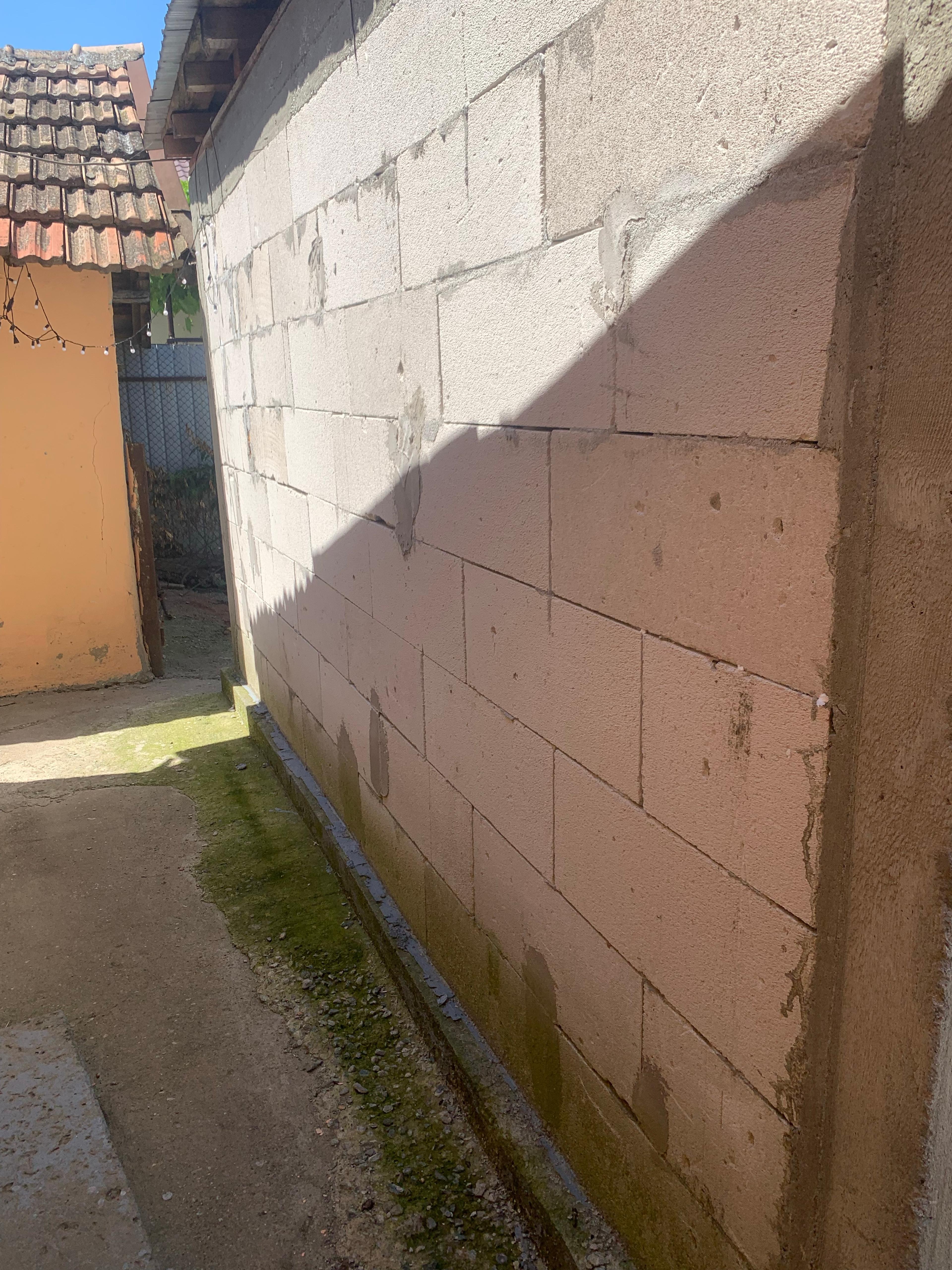 d346d161-cfc1-4260-a63e-b8b951e29806.jpeg