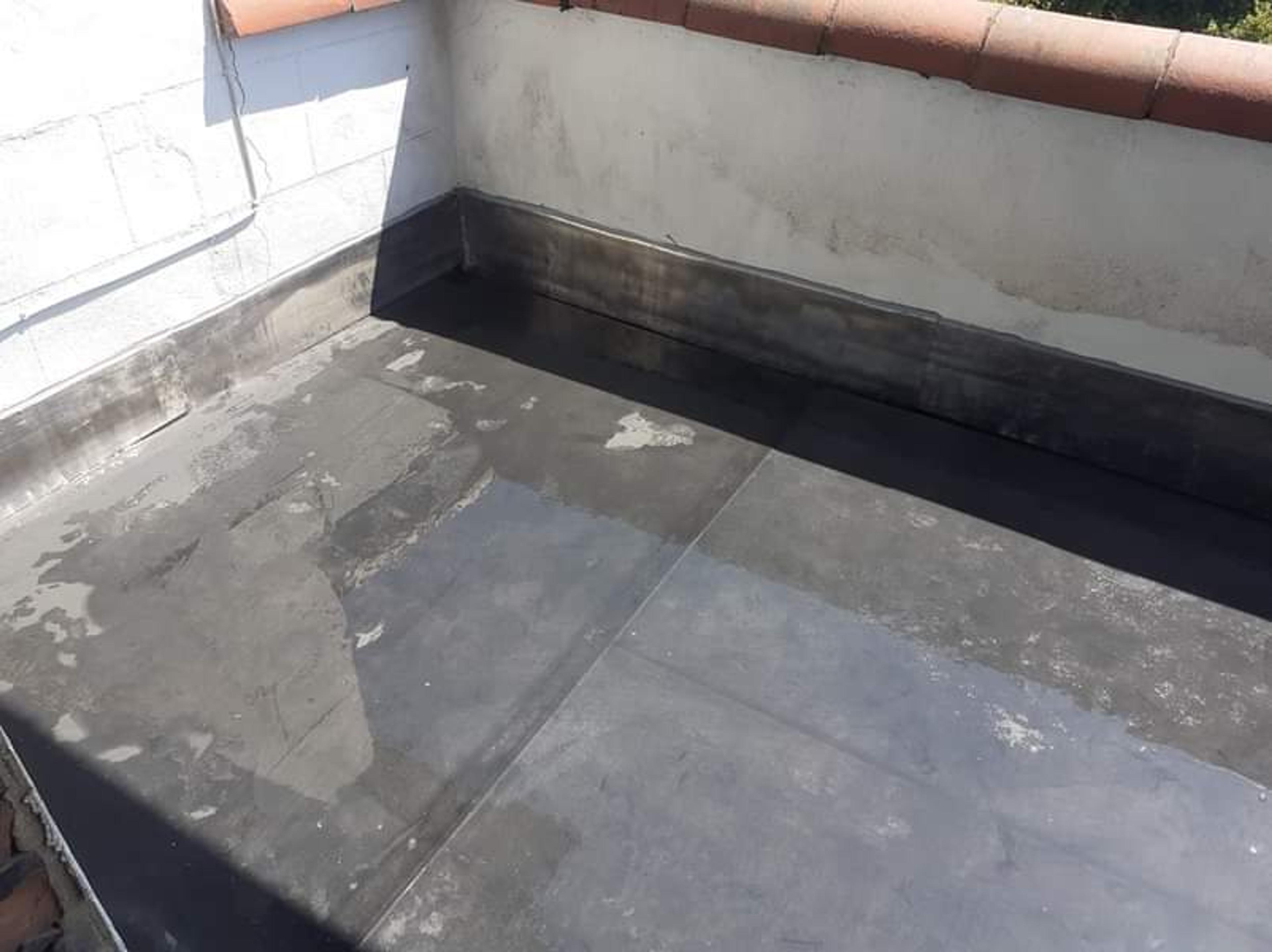 d35f683d-e167-4d8e-9109-8d6722b0cefe.jpeg