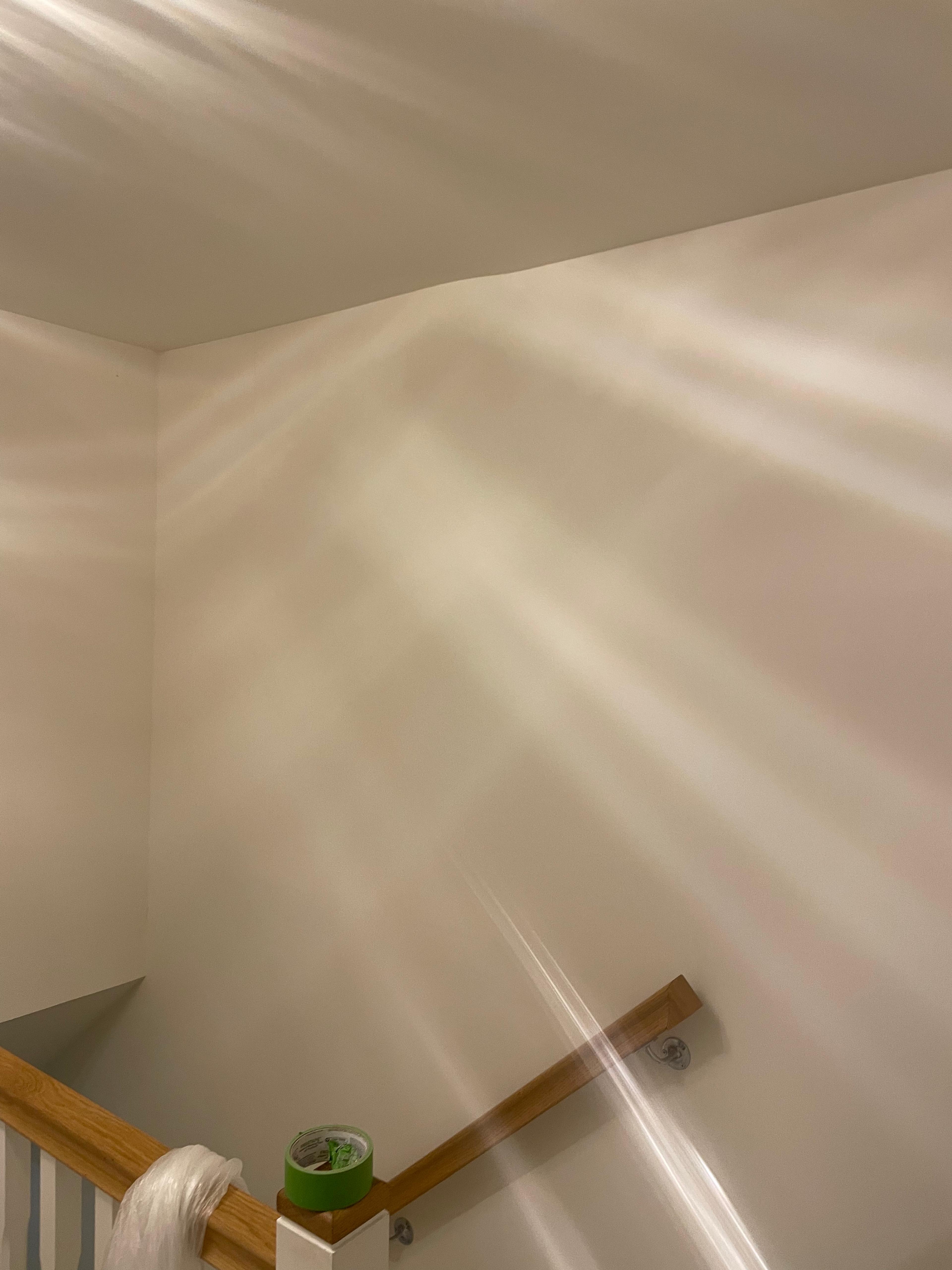 d396f23e-5ef2-4018-9083-0f9194e3deaa.jpeg