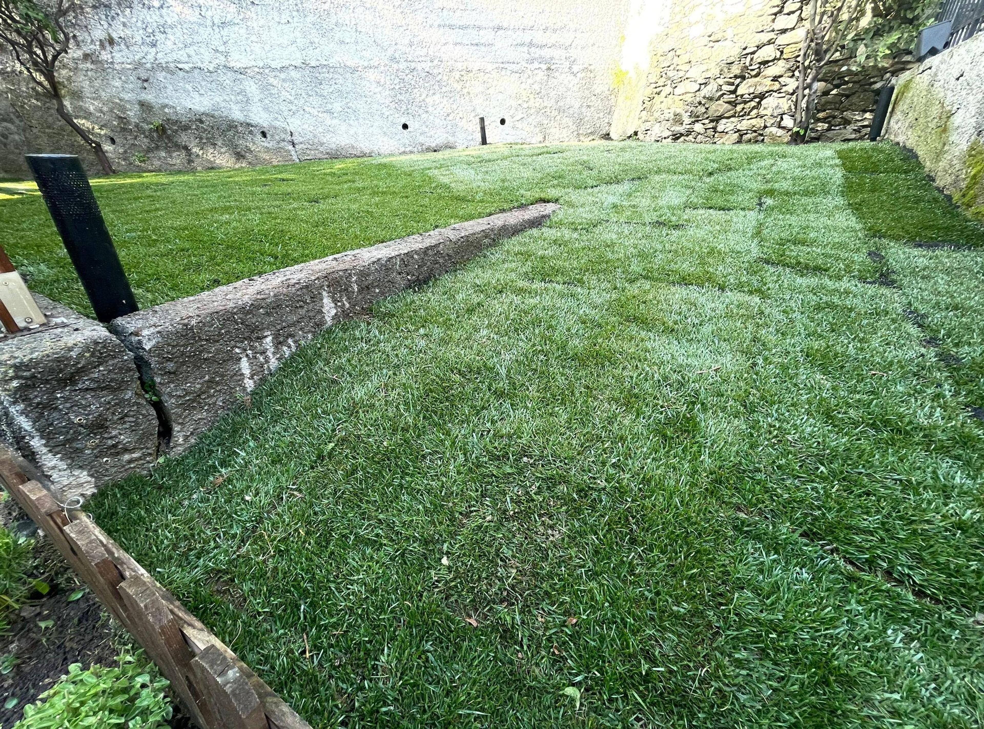 d3a63158-e432-4703-9417-5f9a6ce02137.jpeg