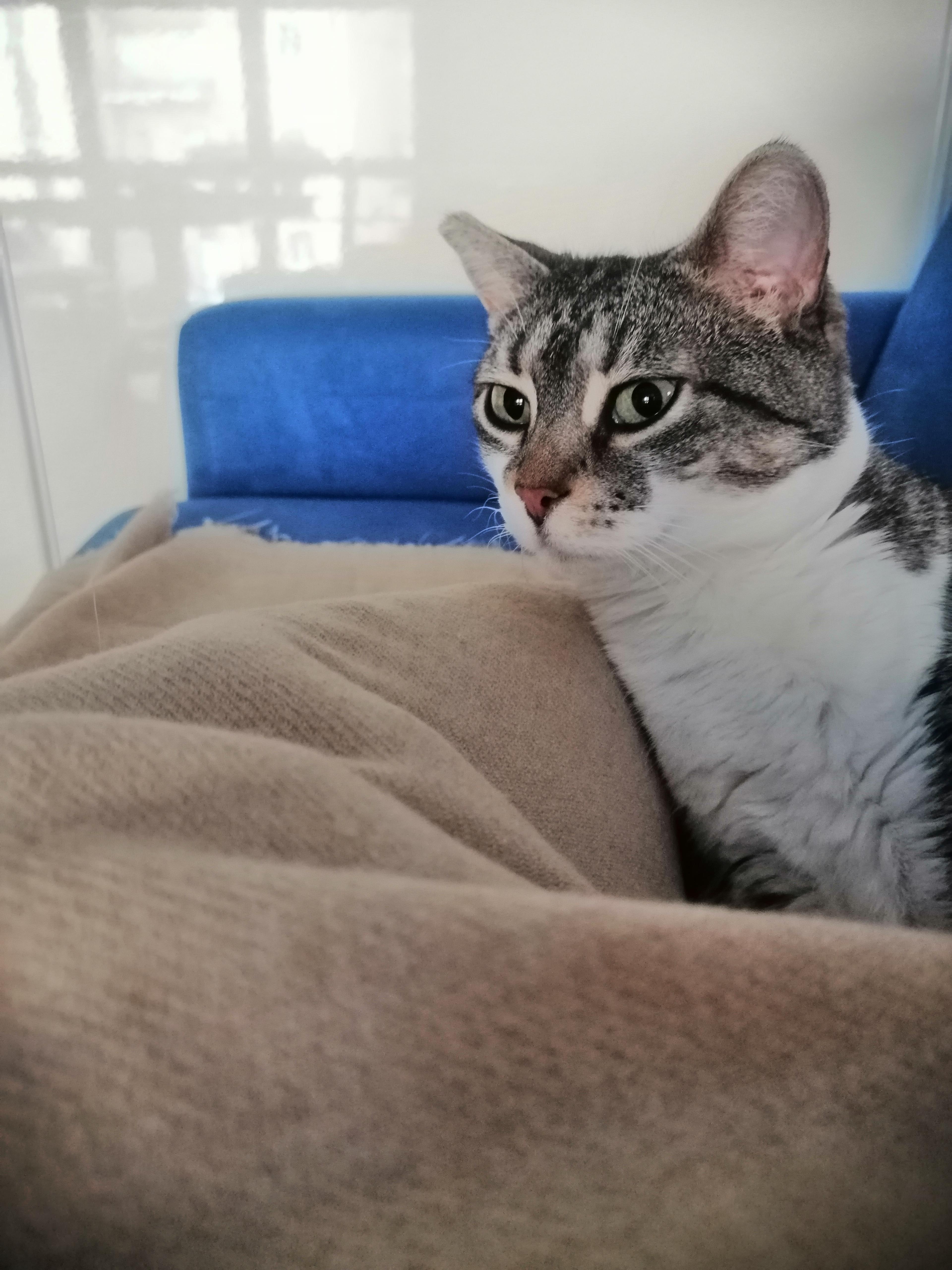 d3a7d4e5-25f3-467b-a577-b4558143e19c.jpeg