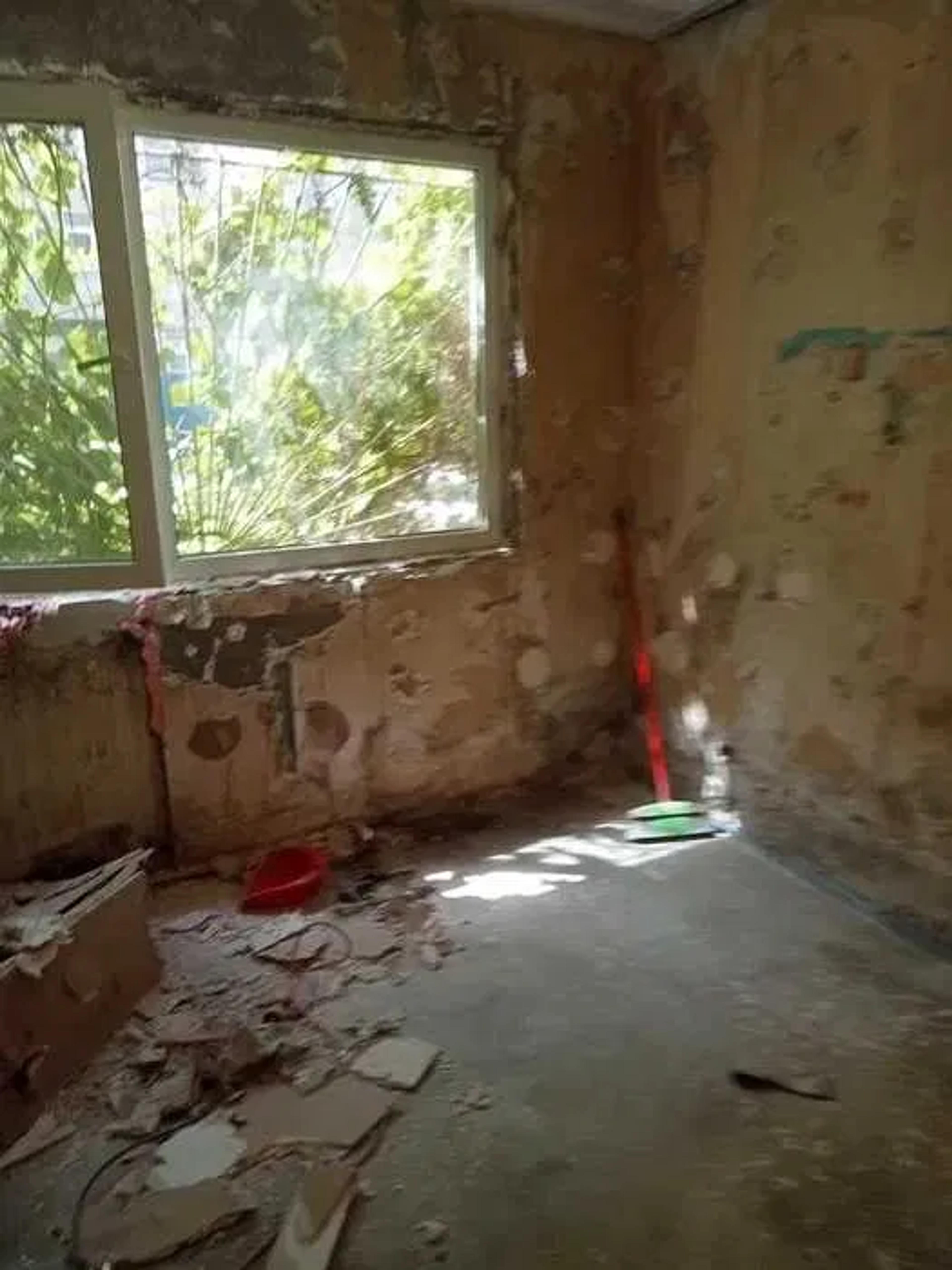 d40baee5-9455-426b-9060-7f19bddde403.webp