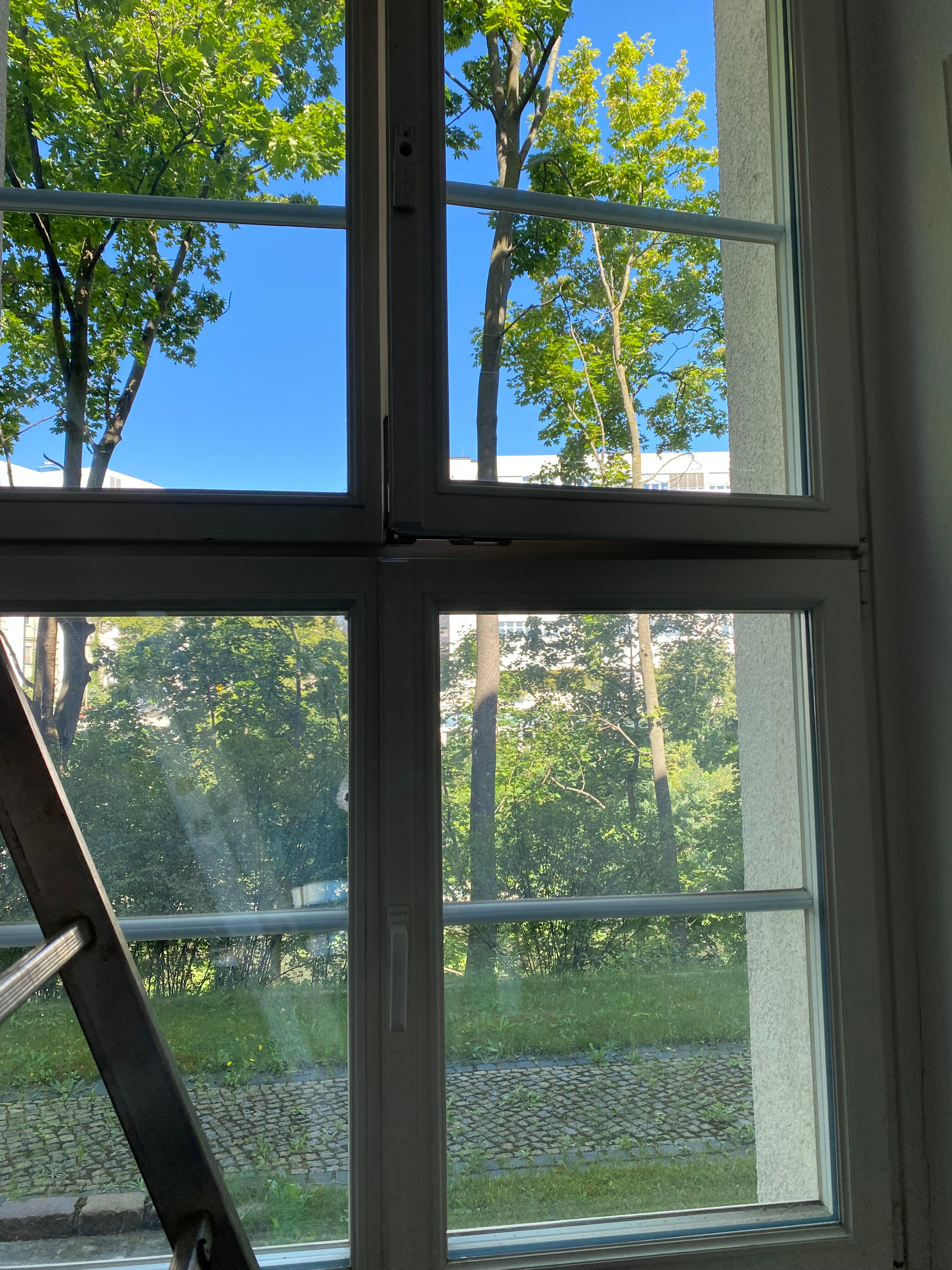 d4540738-38bf-416b-bfde-8e13c6cc43ae.jpeg
