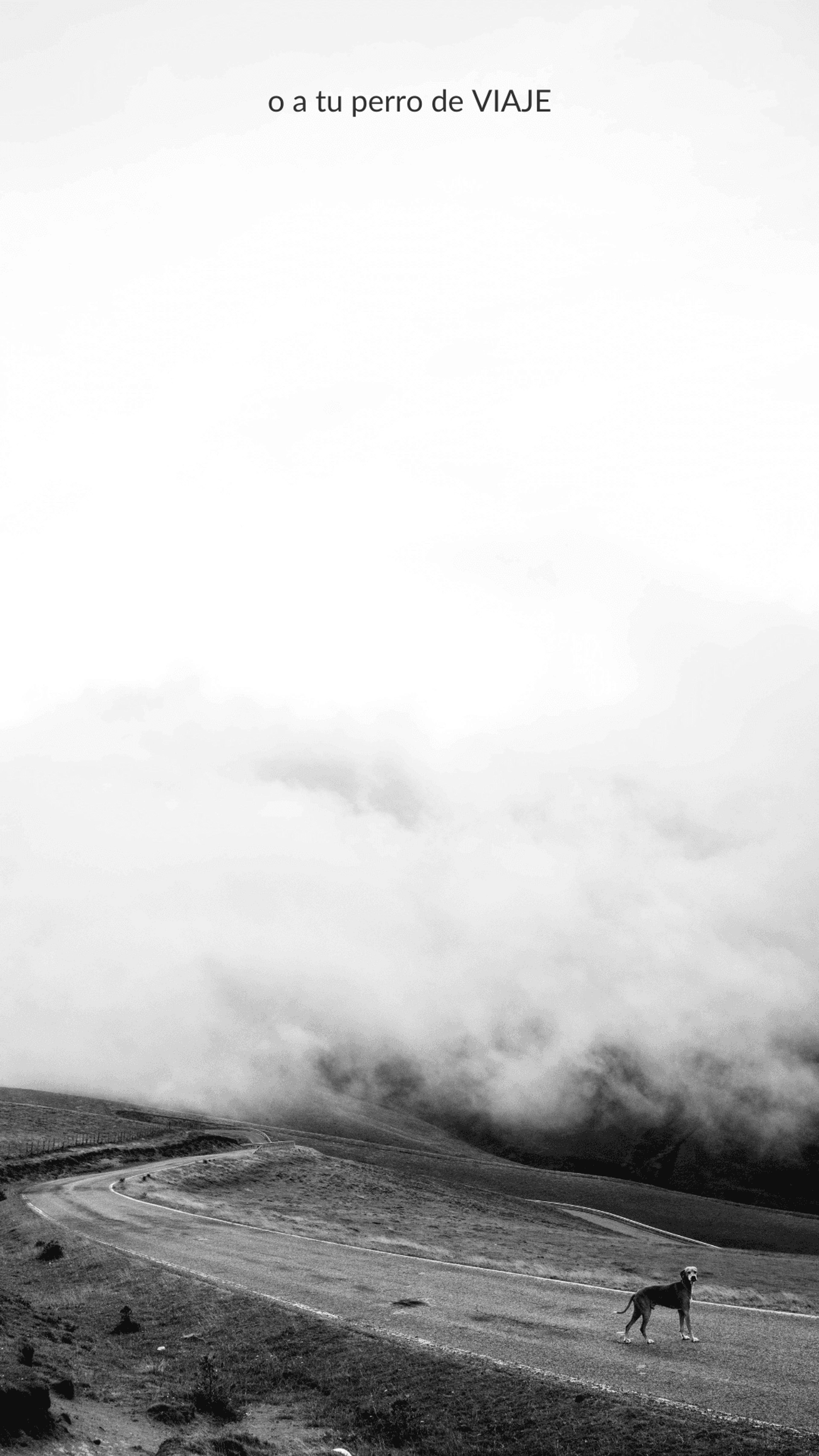 d45896b9-26c4-4f9c-a735-a43d686caf29.png
