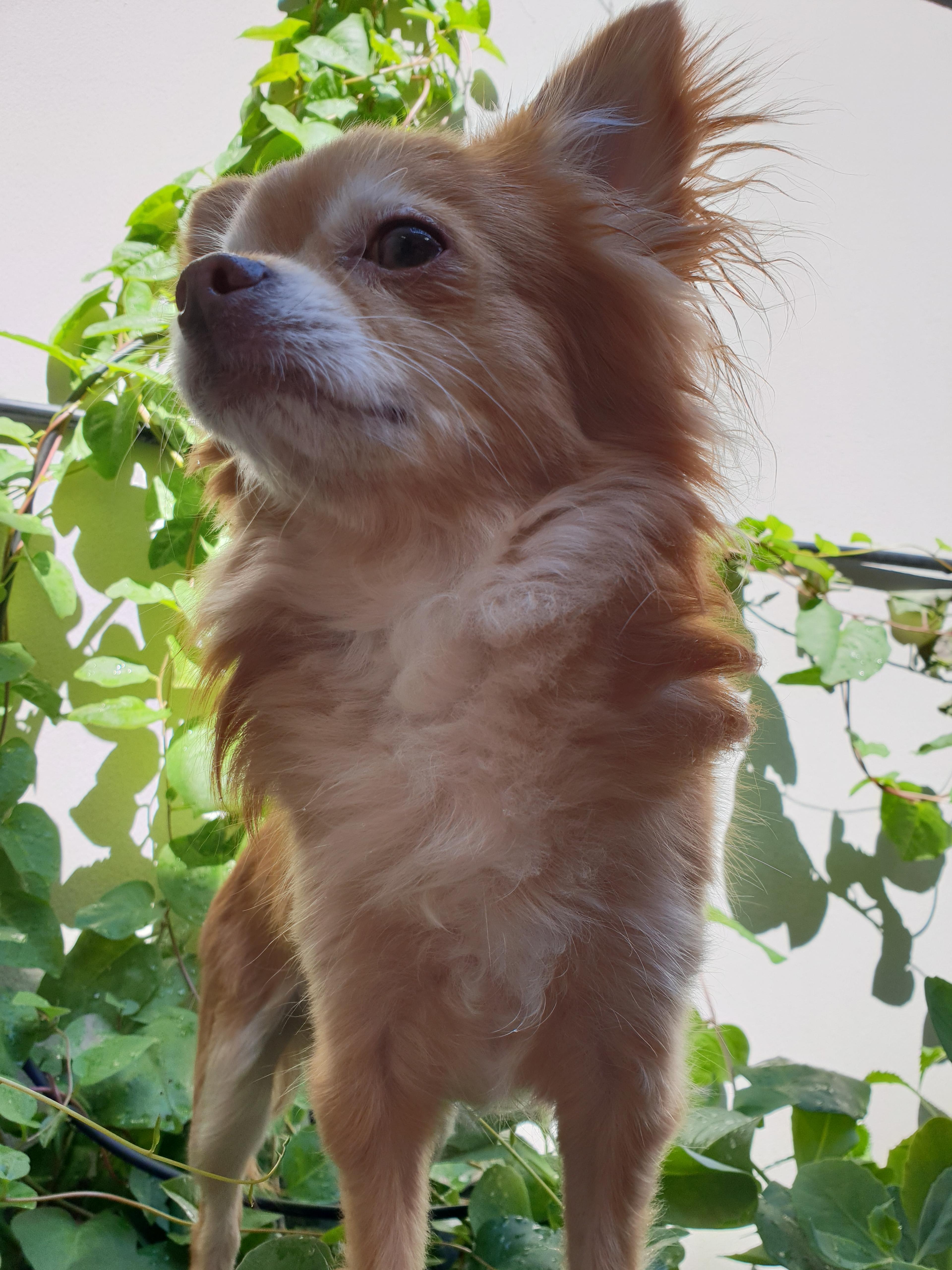 d50b03a4-08d4-400c-a67a-9436bbbd100e.jpeg