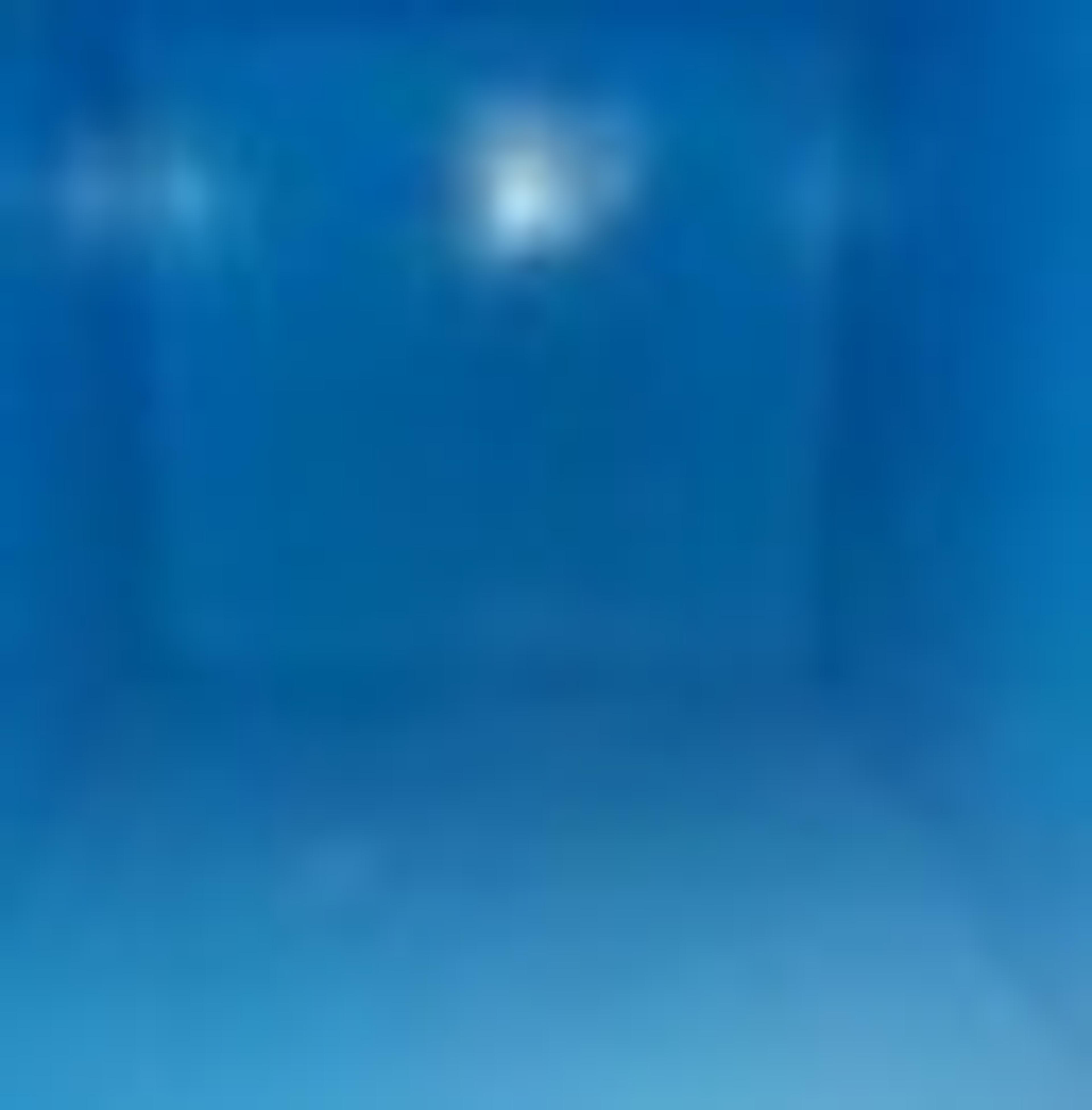 d53ad203-4271-4c61-9aa3-9ddaaa1bd201.jpeg