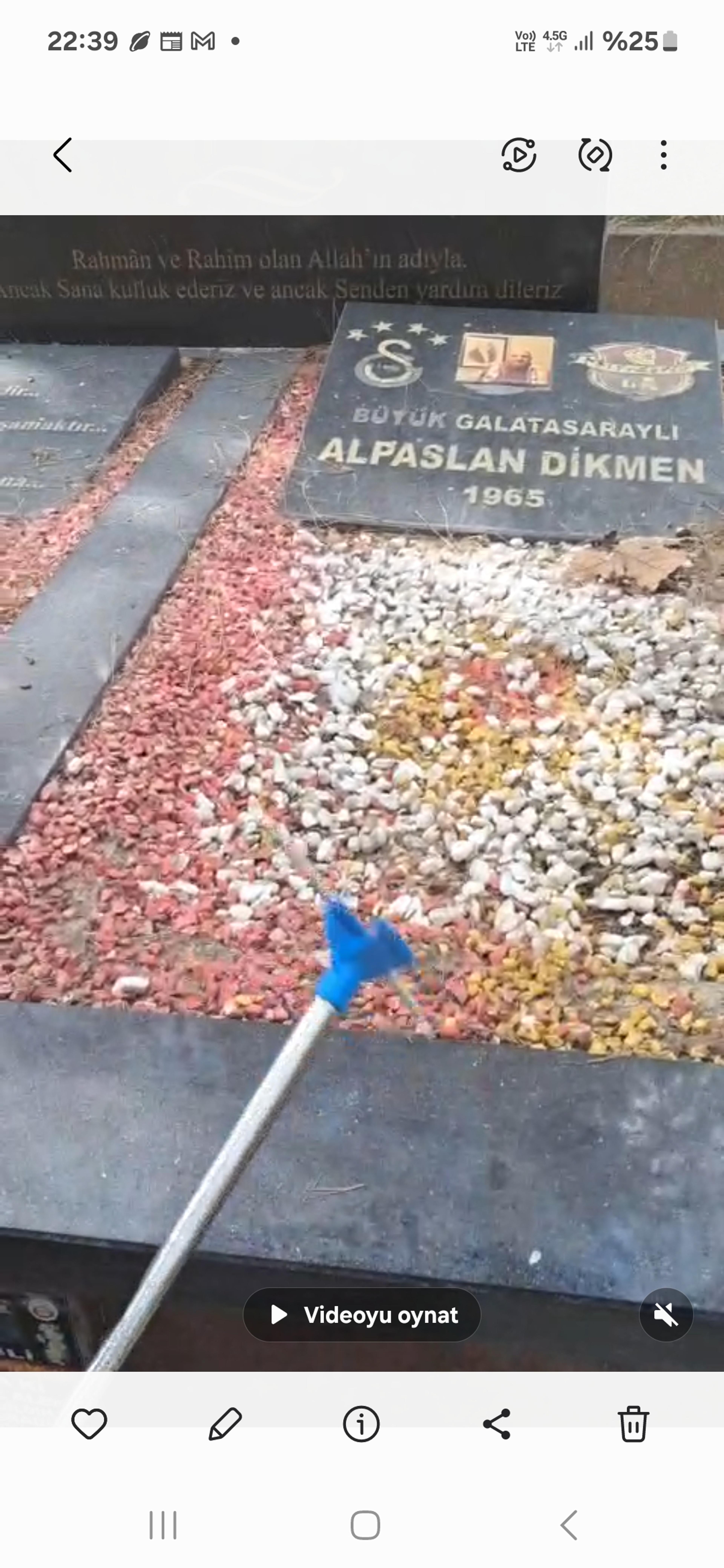 d541f096-aac7-4067-bf65-6634f48cd233.jpeg