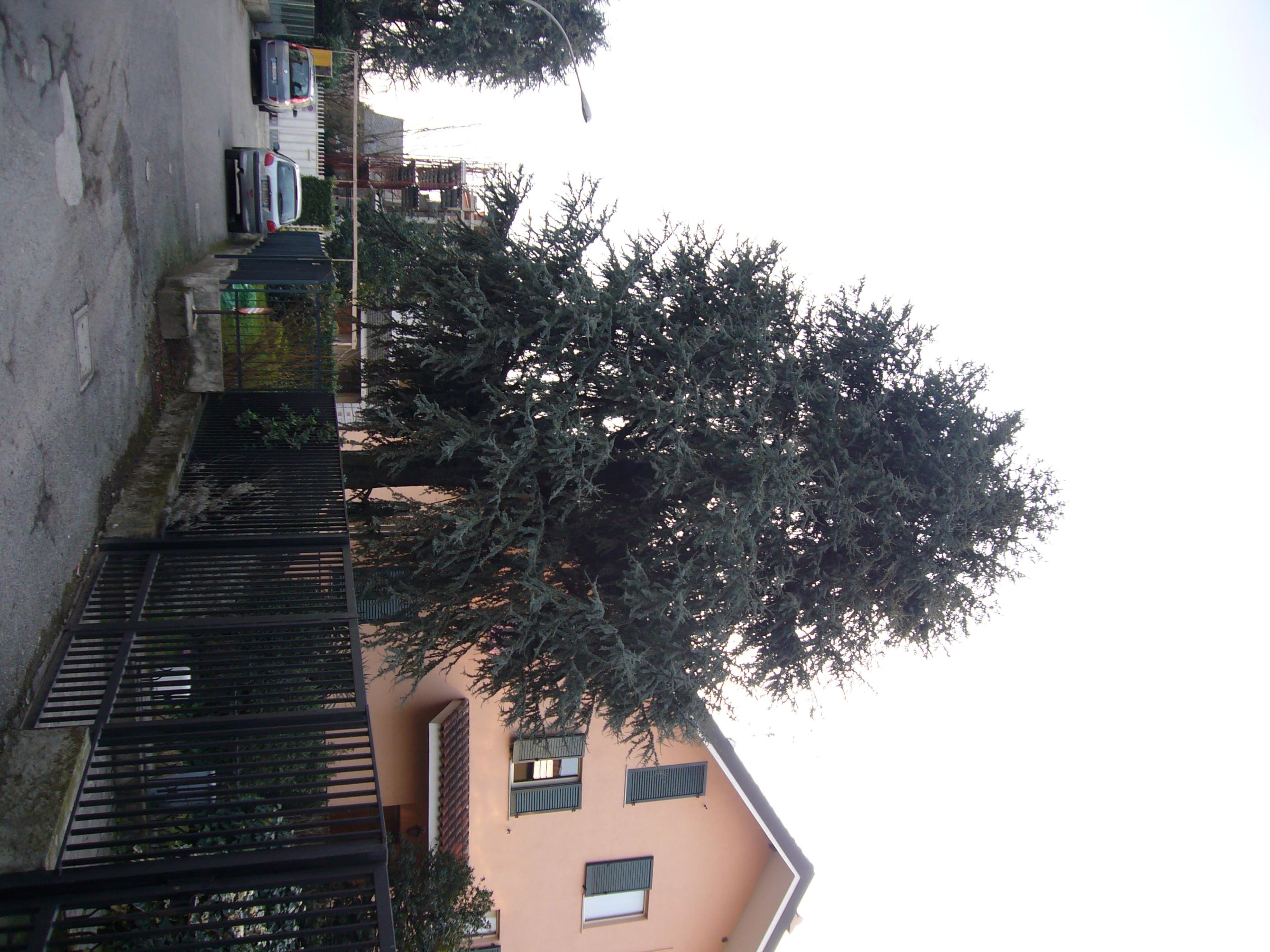 d593af21-71e4-4b5b-acdd-01f3cc4a967c.jpeg