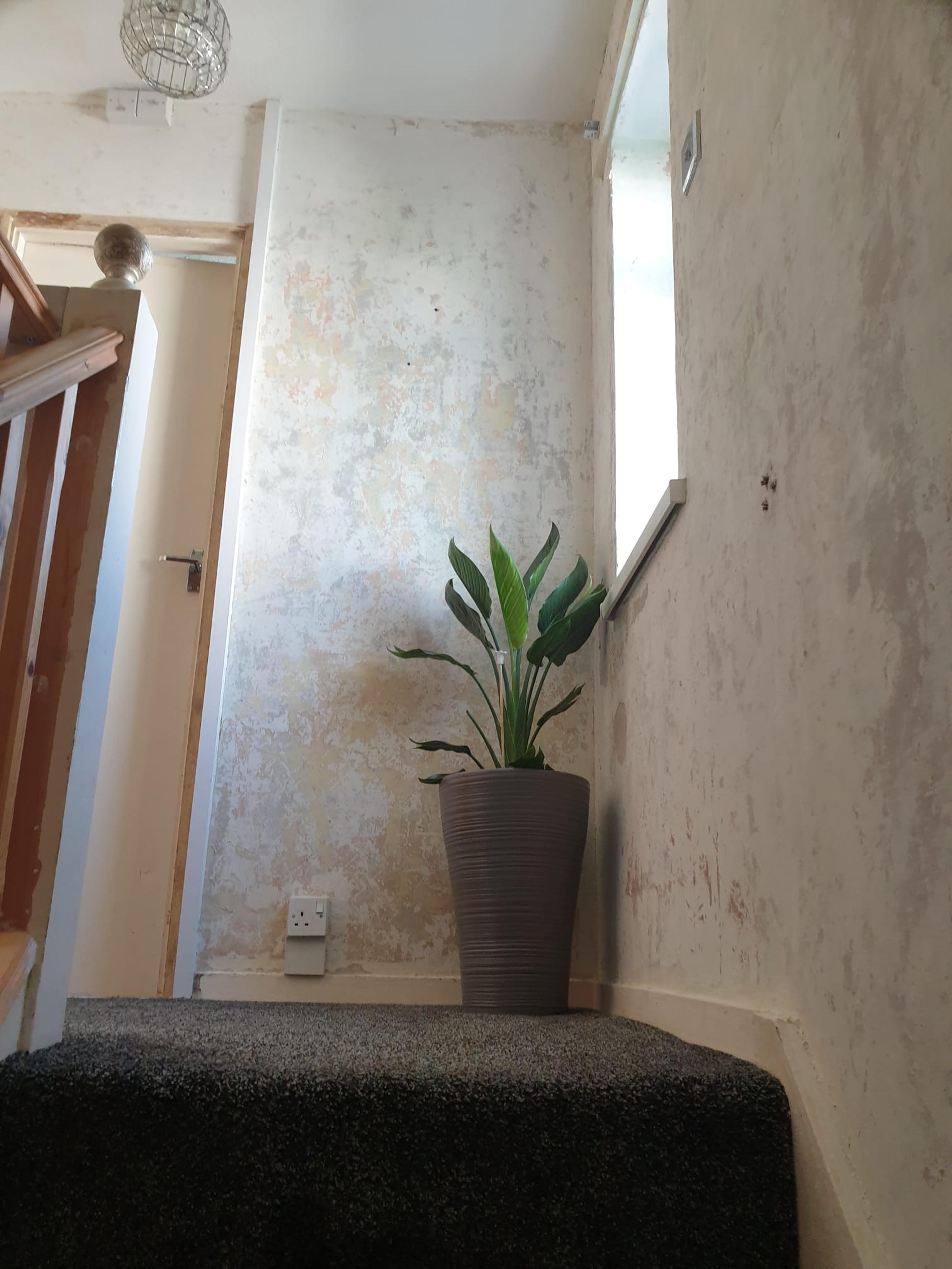 d6c0ce28-a280-42da-9181-ce87e3dd0d88.jpeg