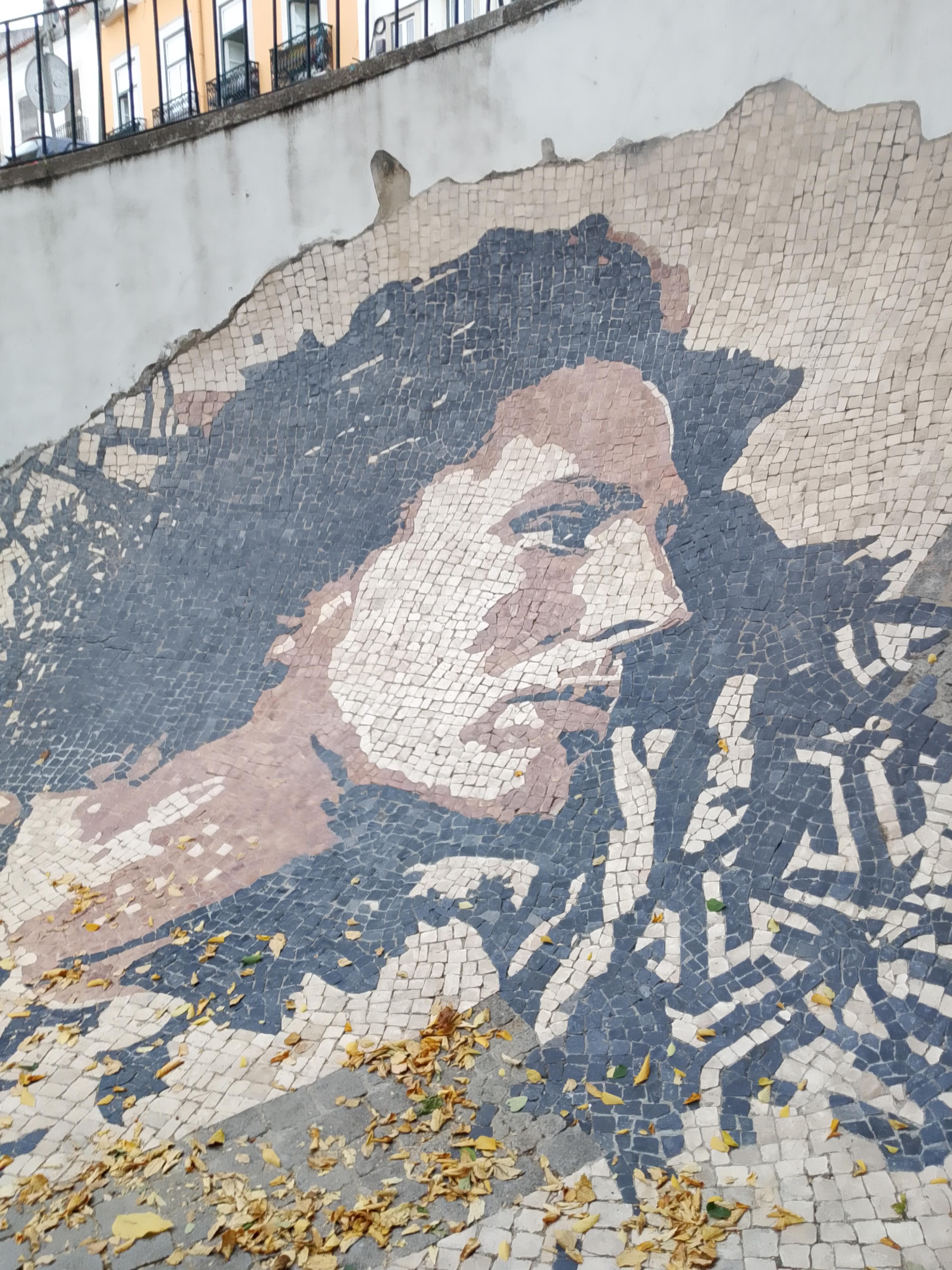 d6c290a8-d2f9-4b26-9504-da5026f145c7.jpeg