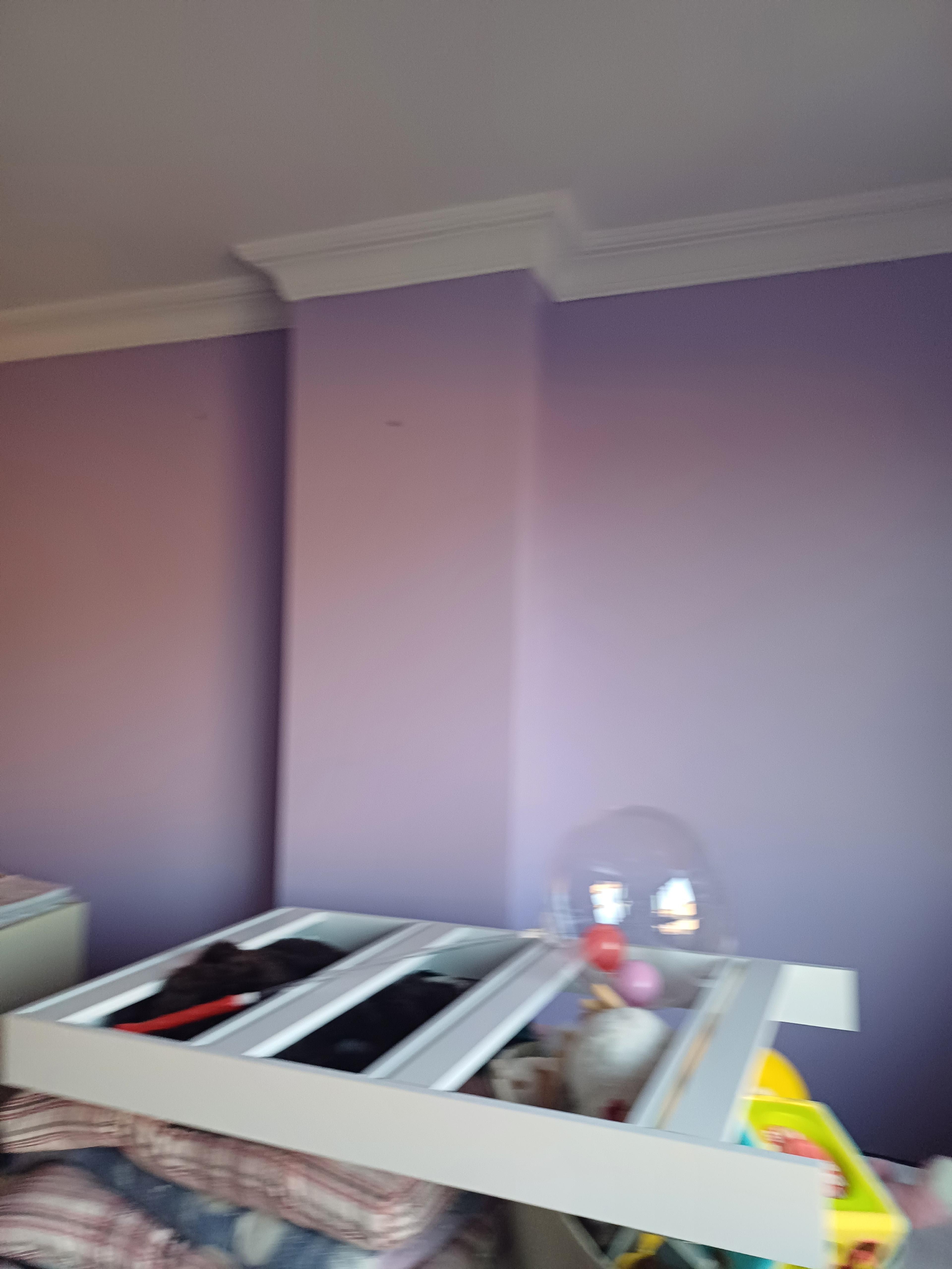 d6cff950-7b4c-49c5-a5d4-50a1dea68c4d.jpeg