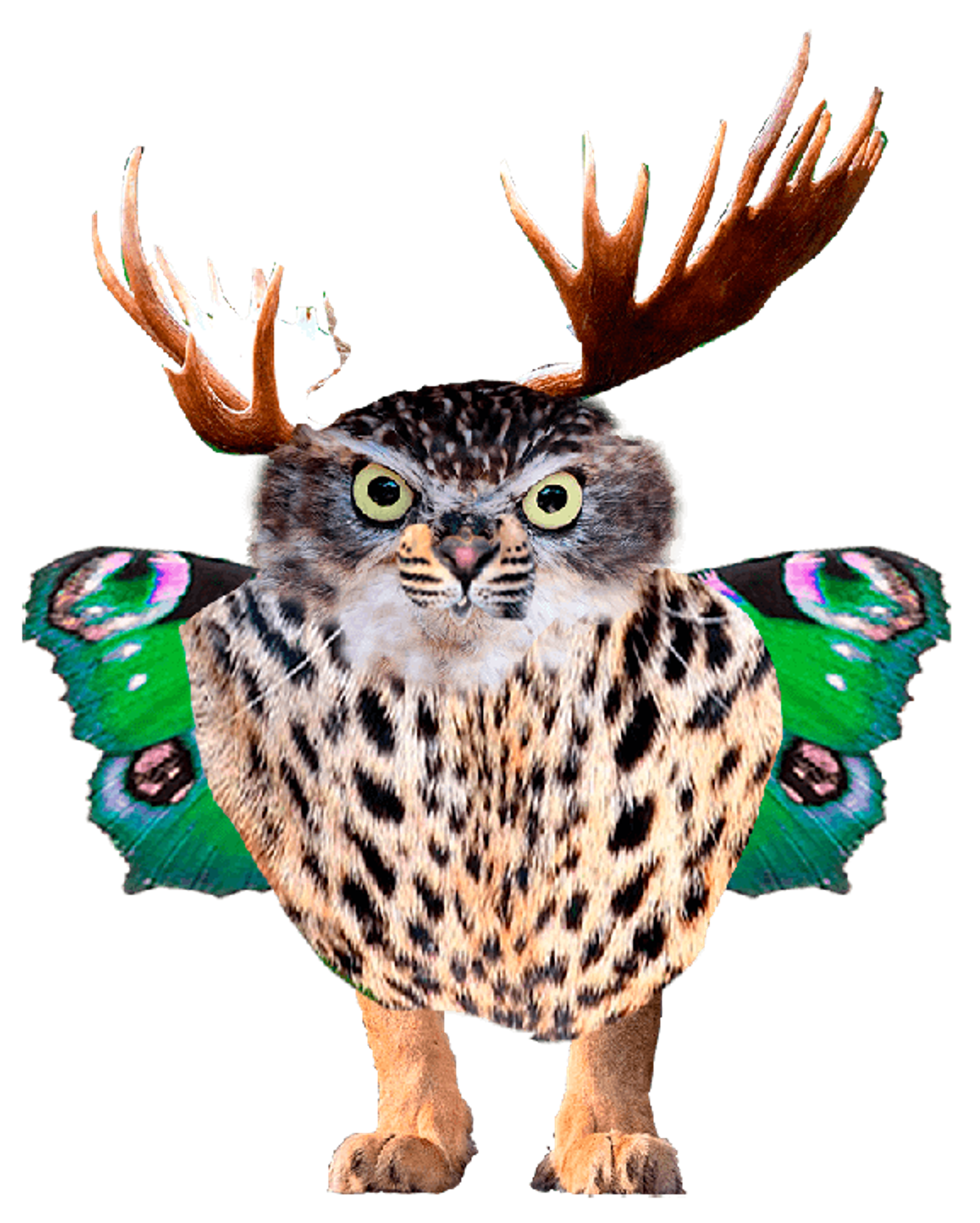 d6d28e90-2c05-44a9-b050-afeb4bf8be54.png