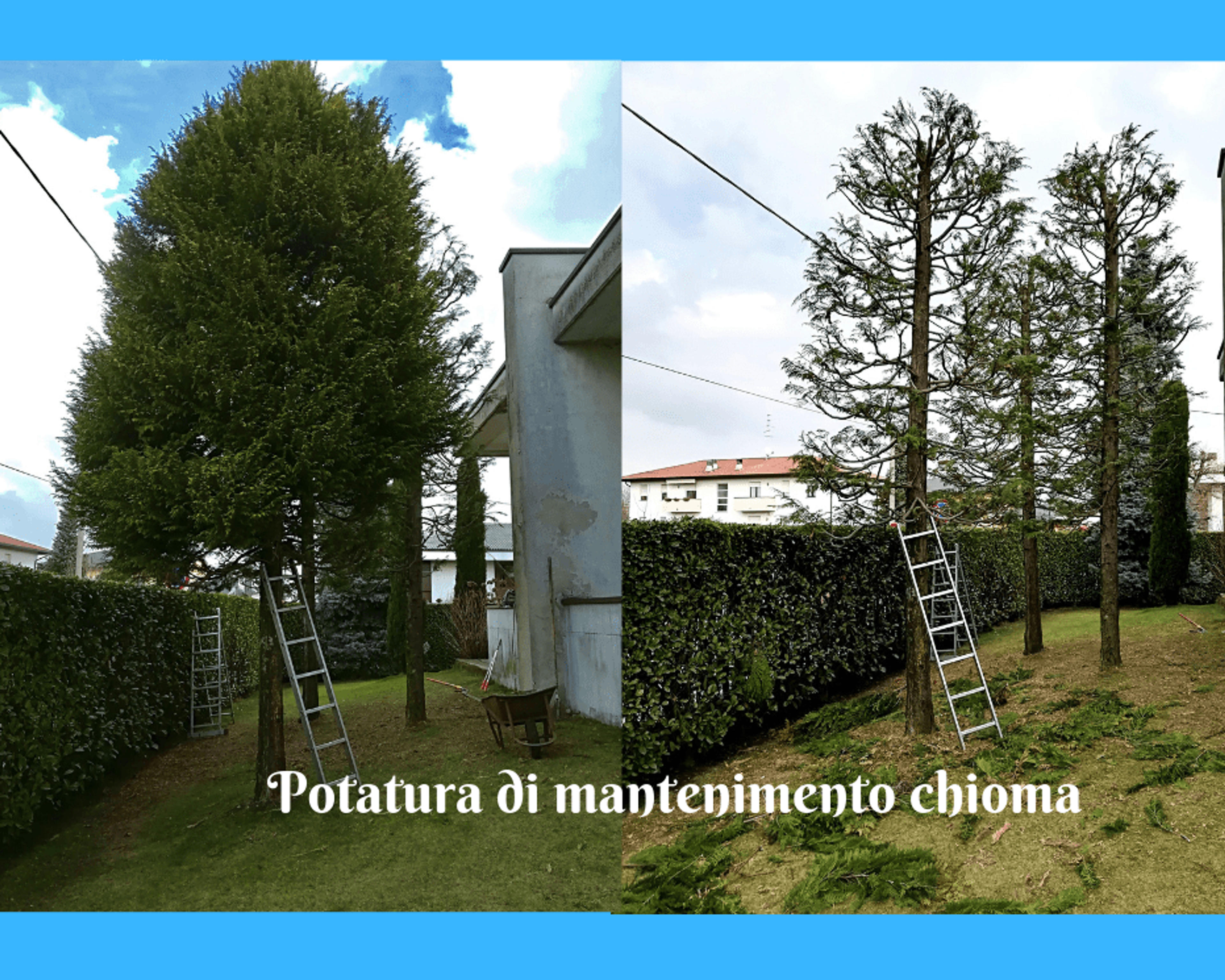 d6f77646-d46d-42cc-bcfb-76a1a939561e.png