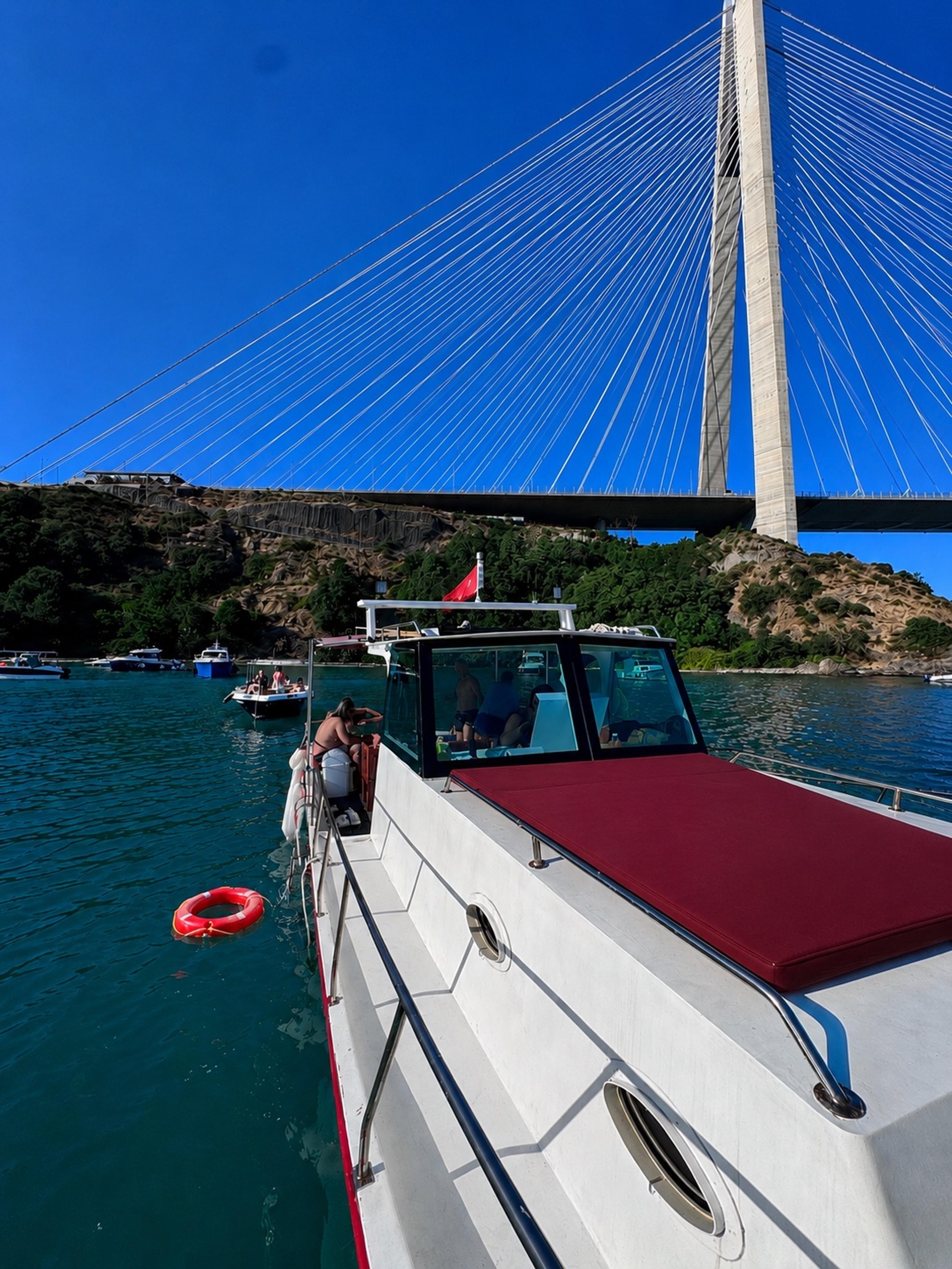 d750e6af-3c54-47d0-ac4a-15471cc70501.jpeg