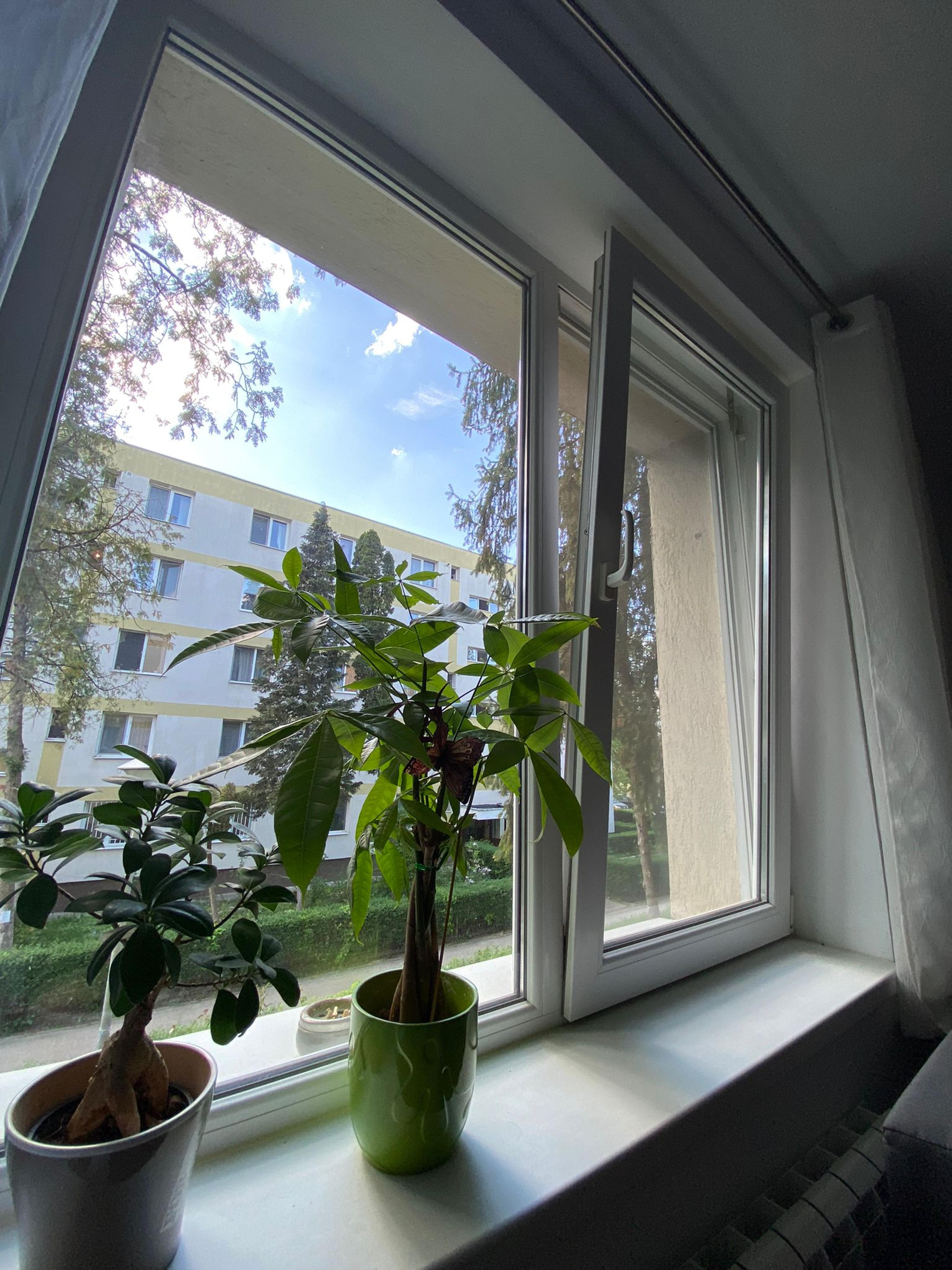 d774ac00-a993-49b1-94ab-796d88187918.jpeg