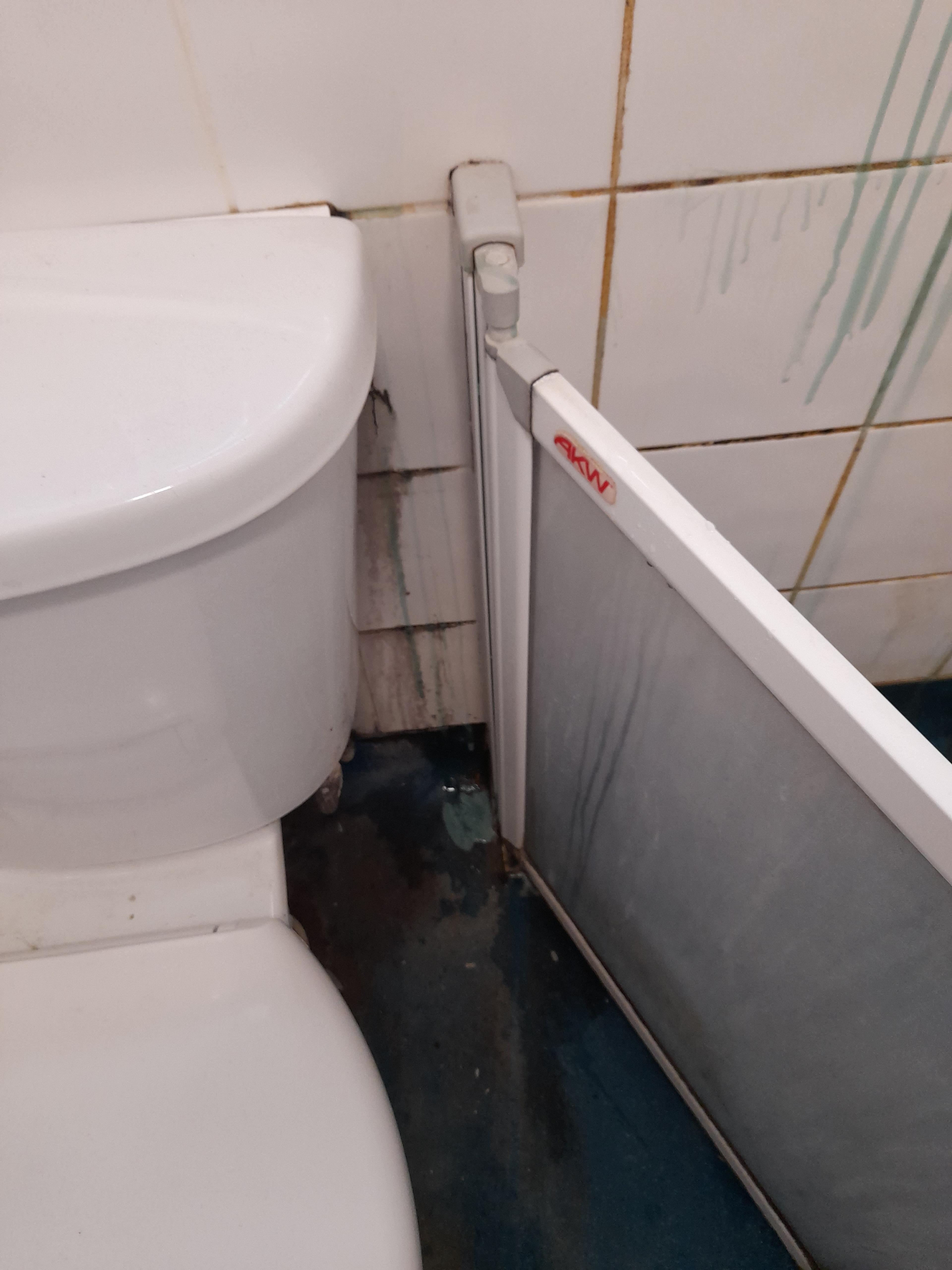 d7a253ca-84ca-4ca4-a01d-81e33c4d5df2.jpeg