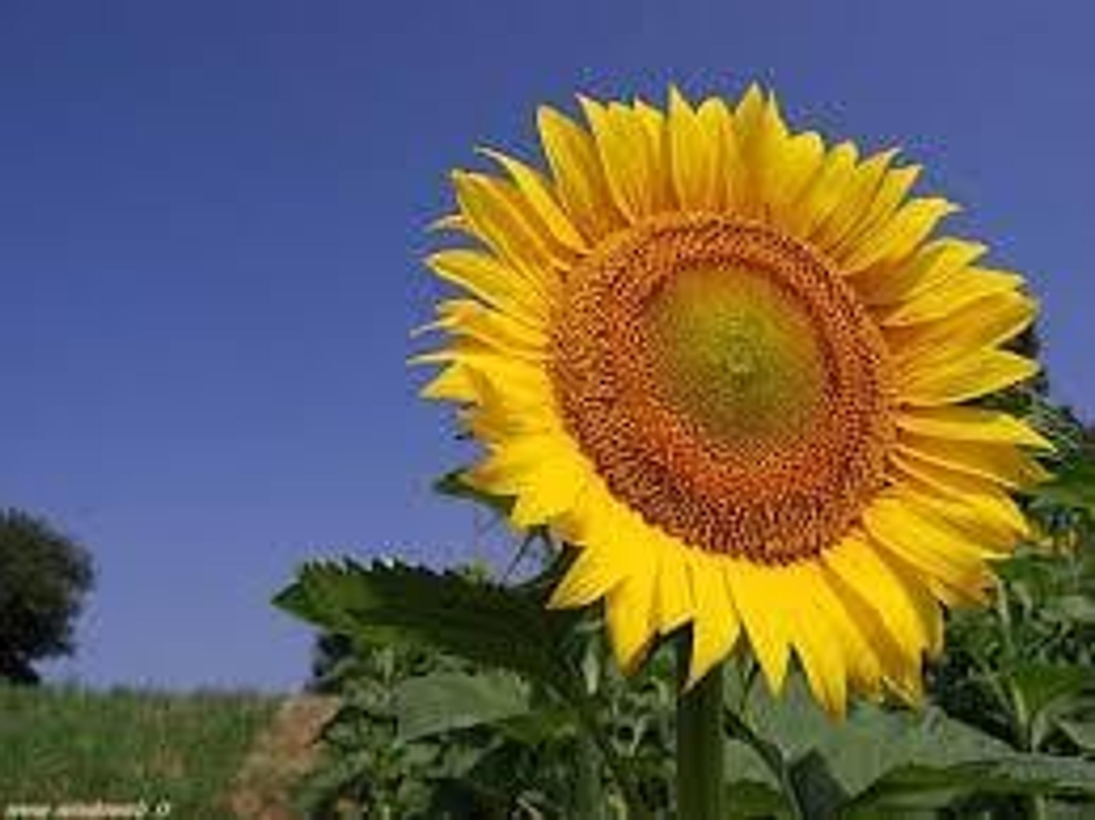d7f50db5-8a74-4c47-84f2-e6197add5c61.jpeg