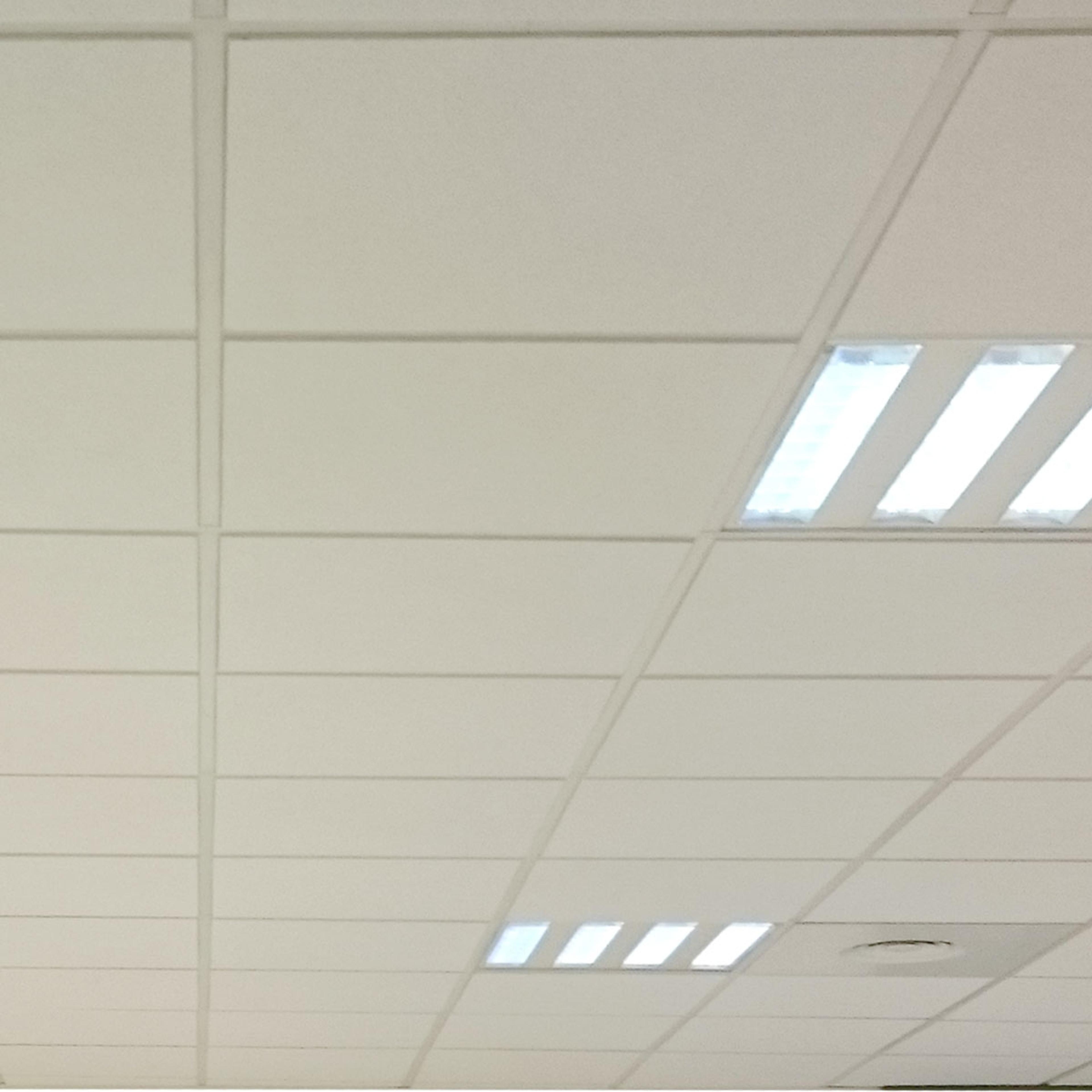 d7f5de7d-e0b6-4555-8544-933ec534b077.jpeg