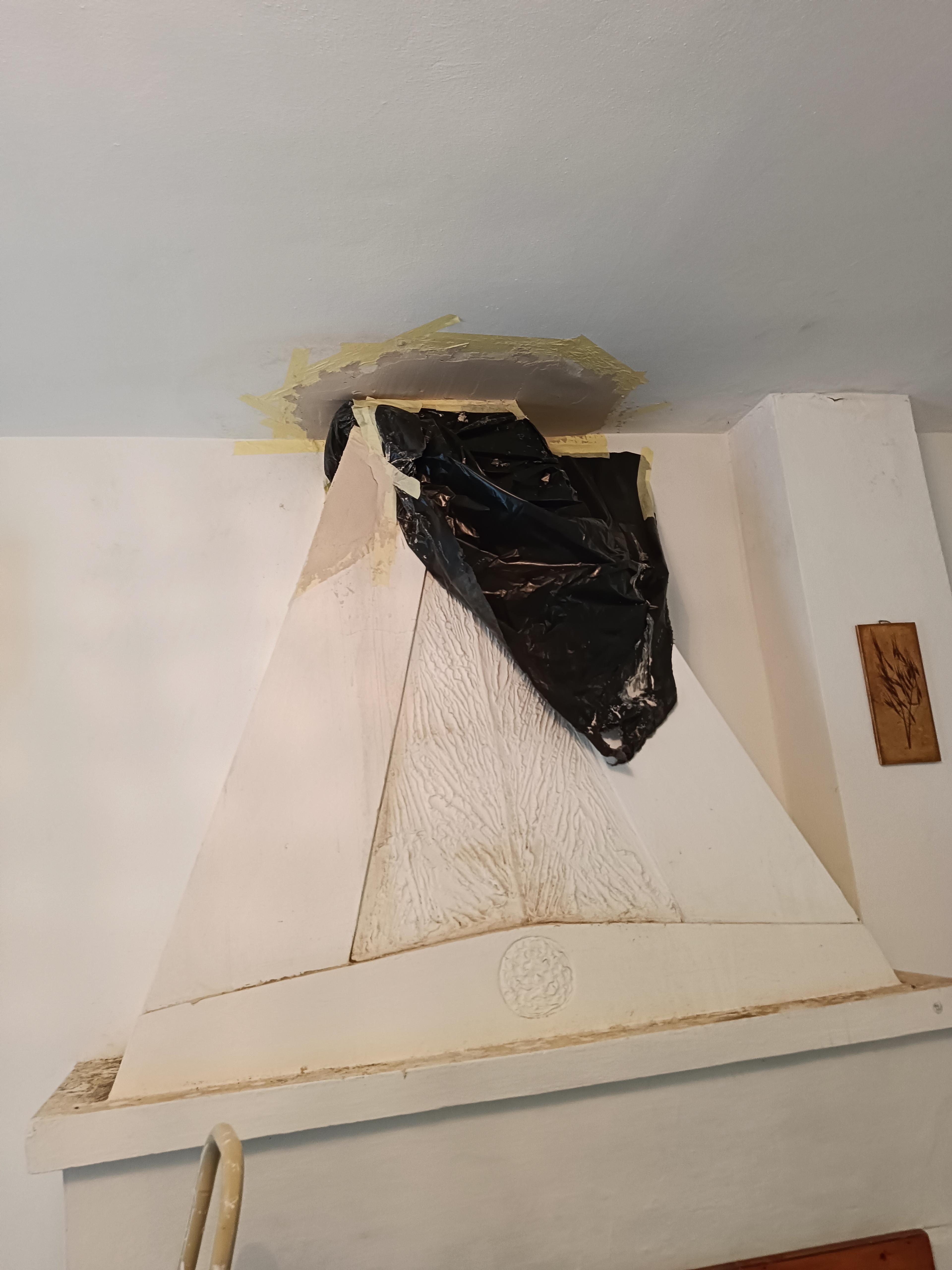d82e23b9-0709-471a-aaf0-62fd95e48d6f.jpeg