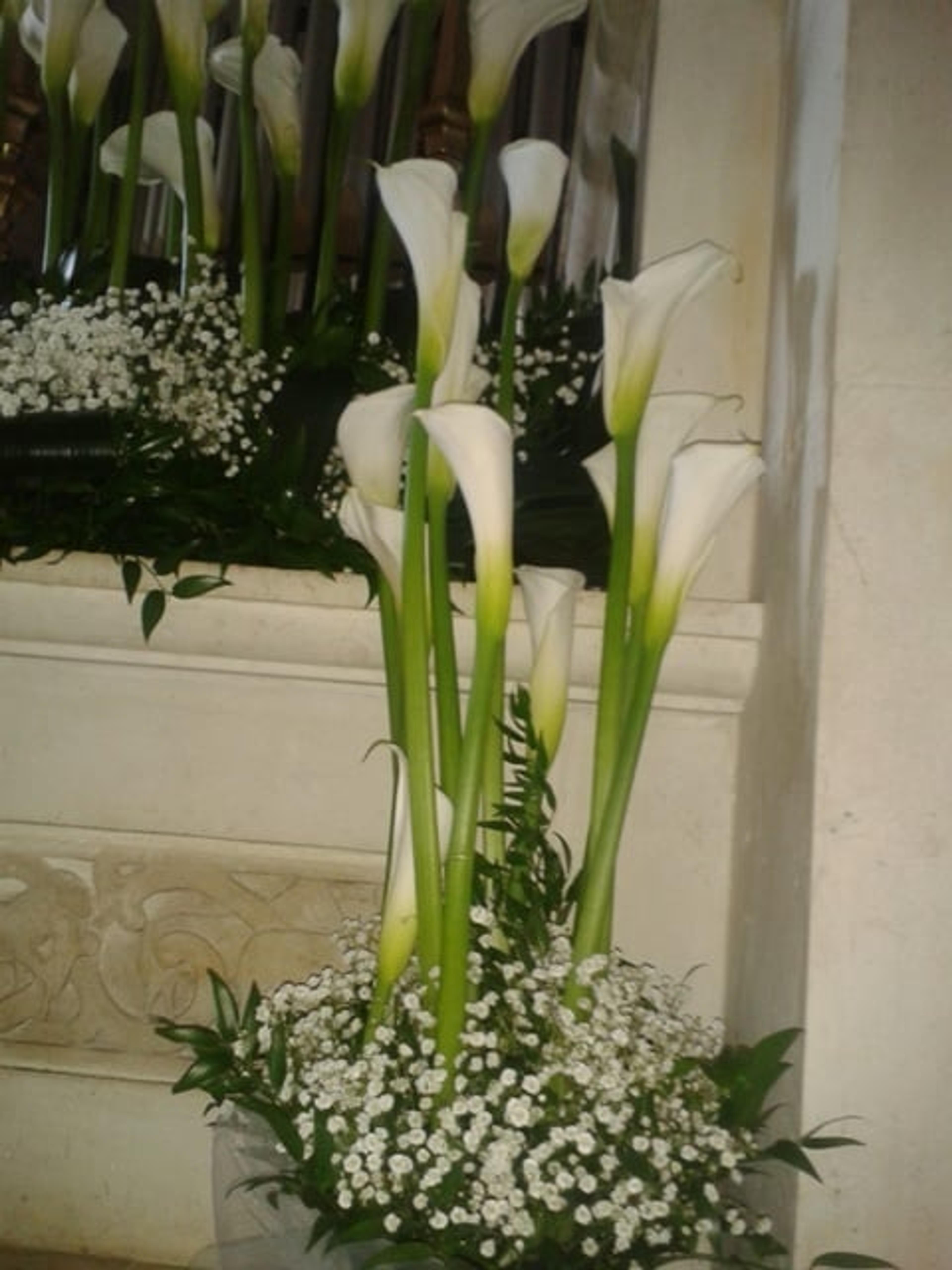 d831e160-e076-484f-9717-4a5a51978f9a.jpg