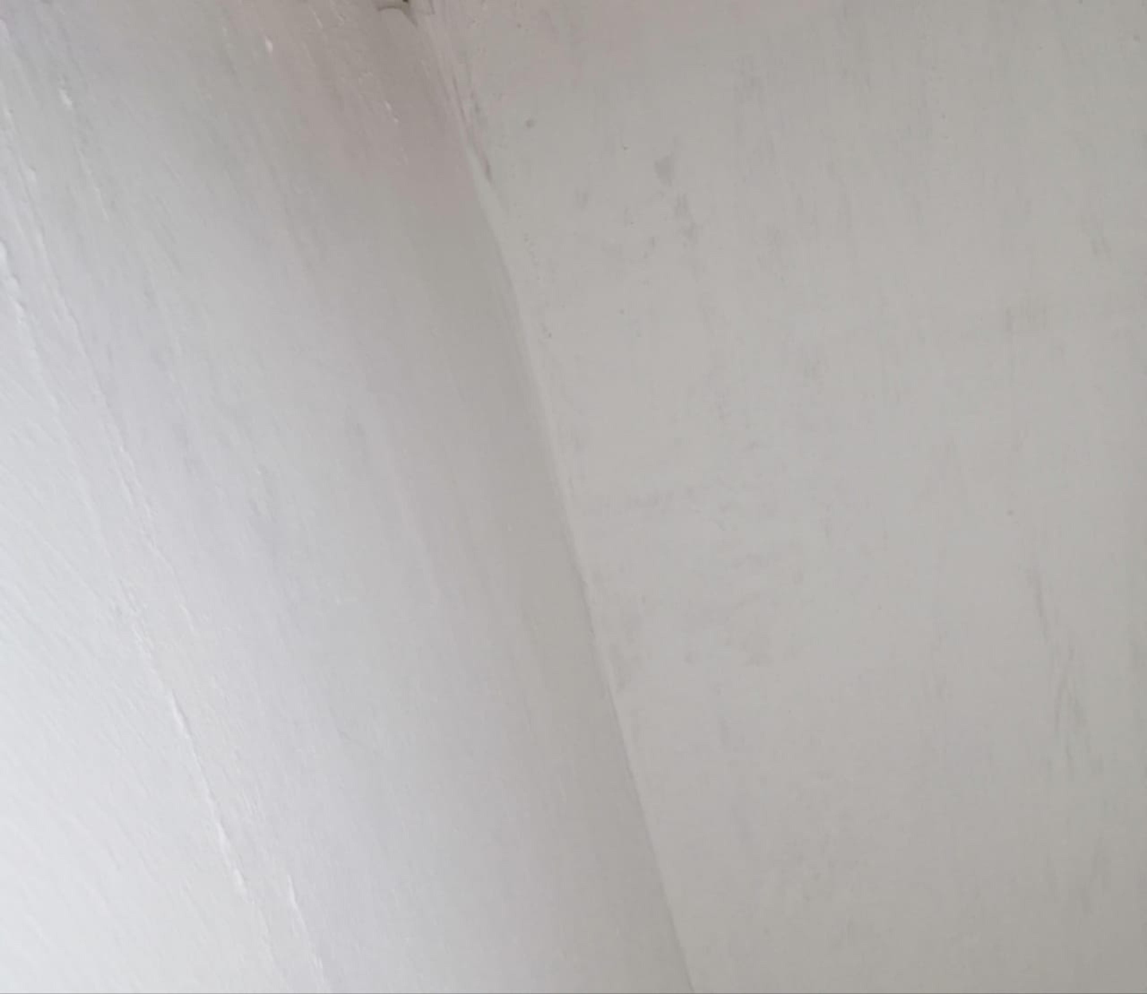 d8513fb6-370b-414b-a698-4c04ffaefc71.jpeg