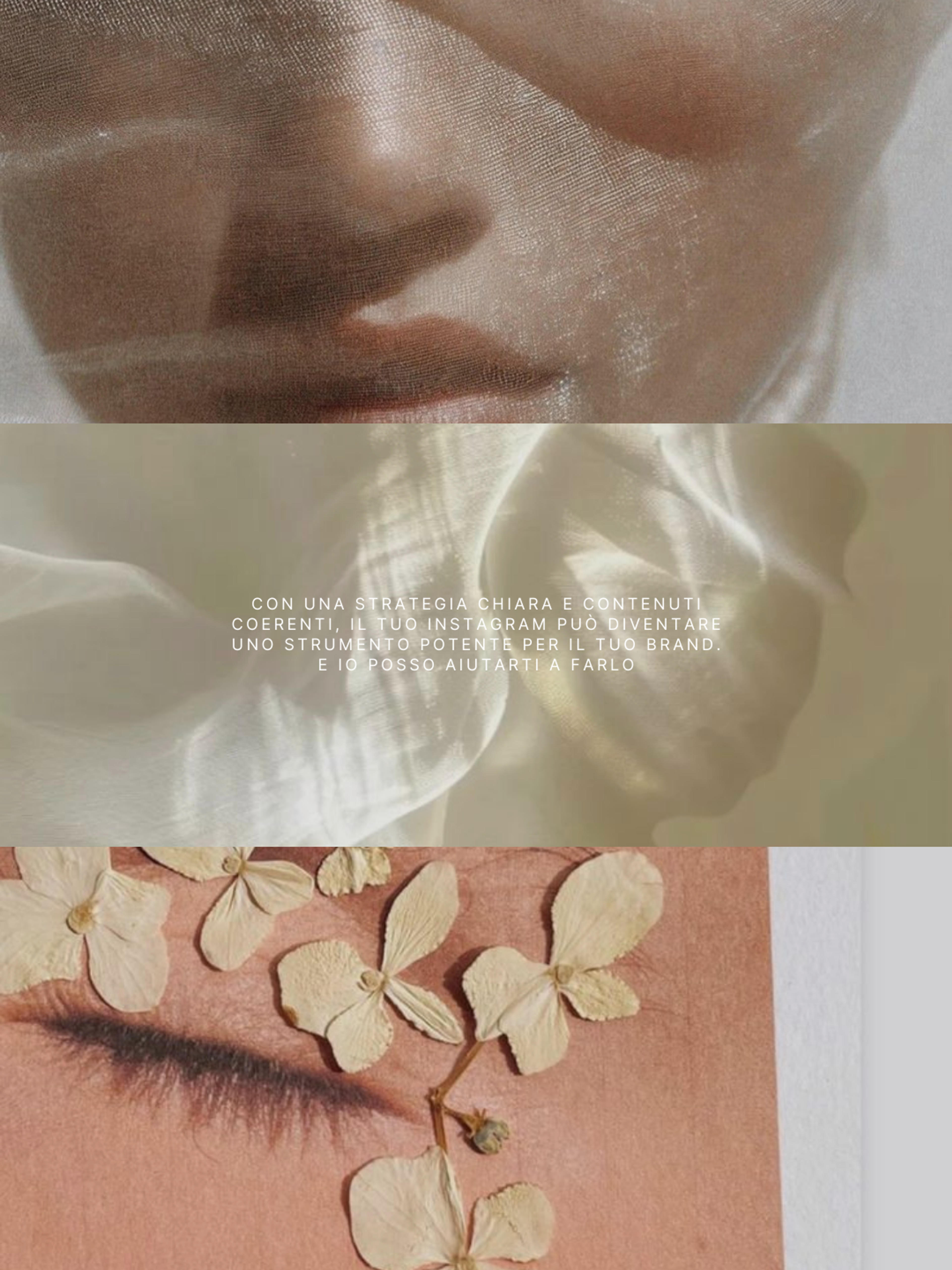 d89108c2-f8e8-47c4-a74e-216f2ed32efe.png
