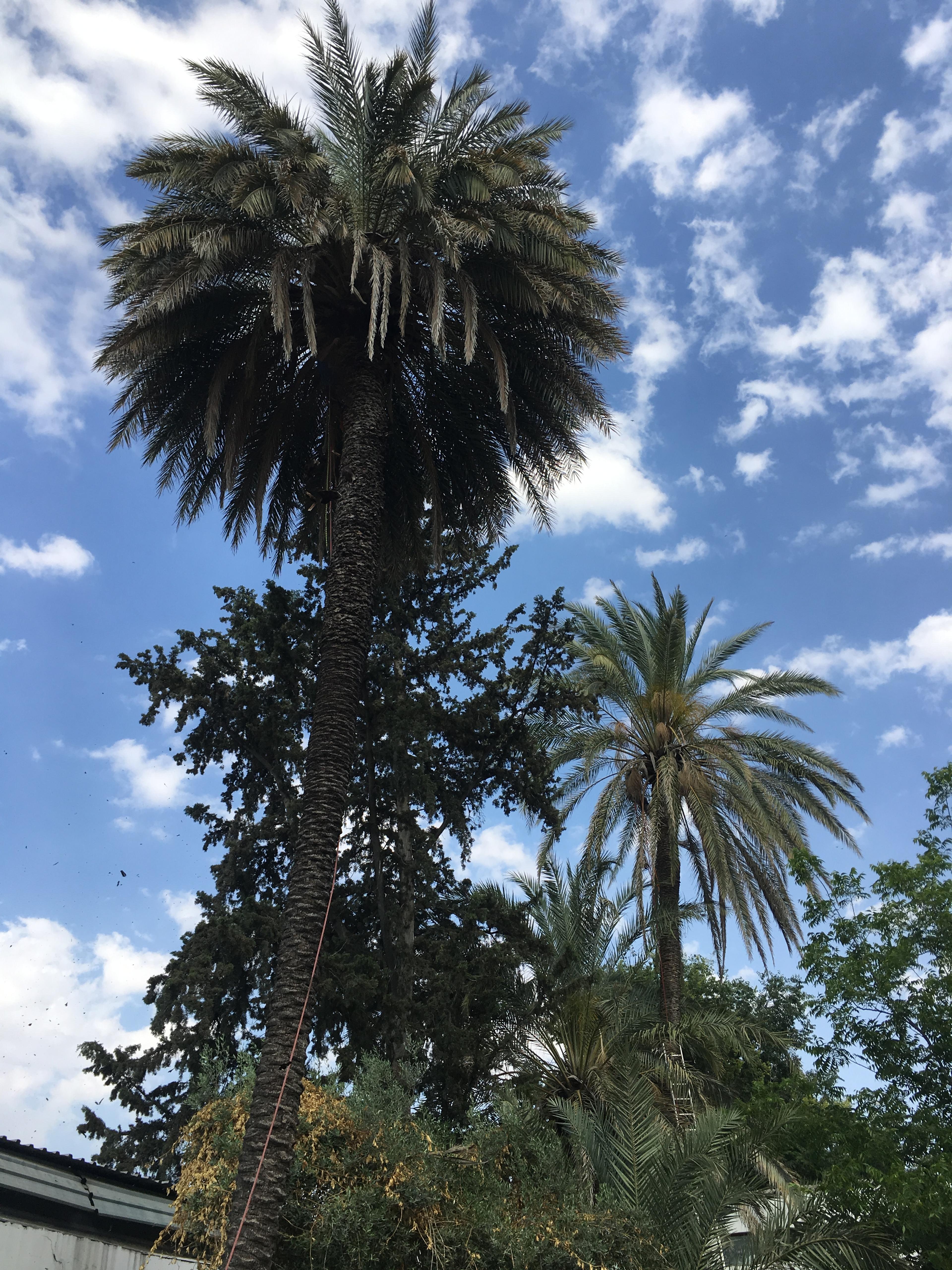 d8dc09c7-798f-4269-bd10-a1754aec3332.jpeg