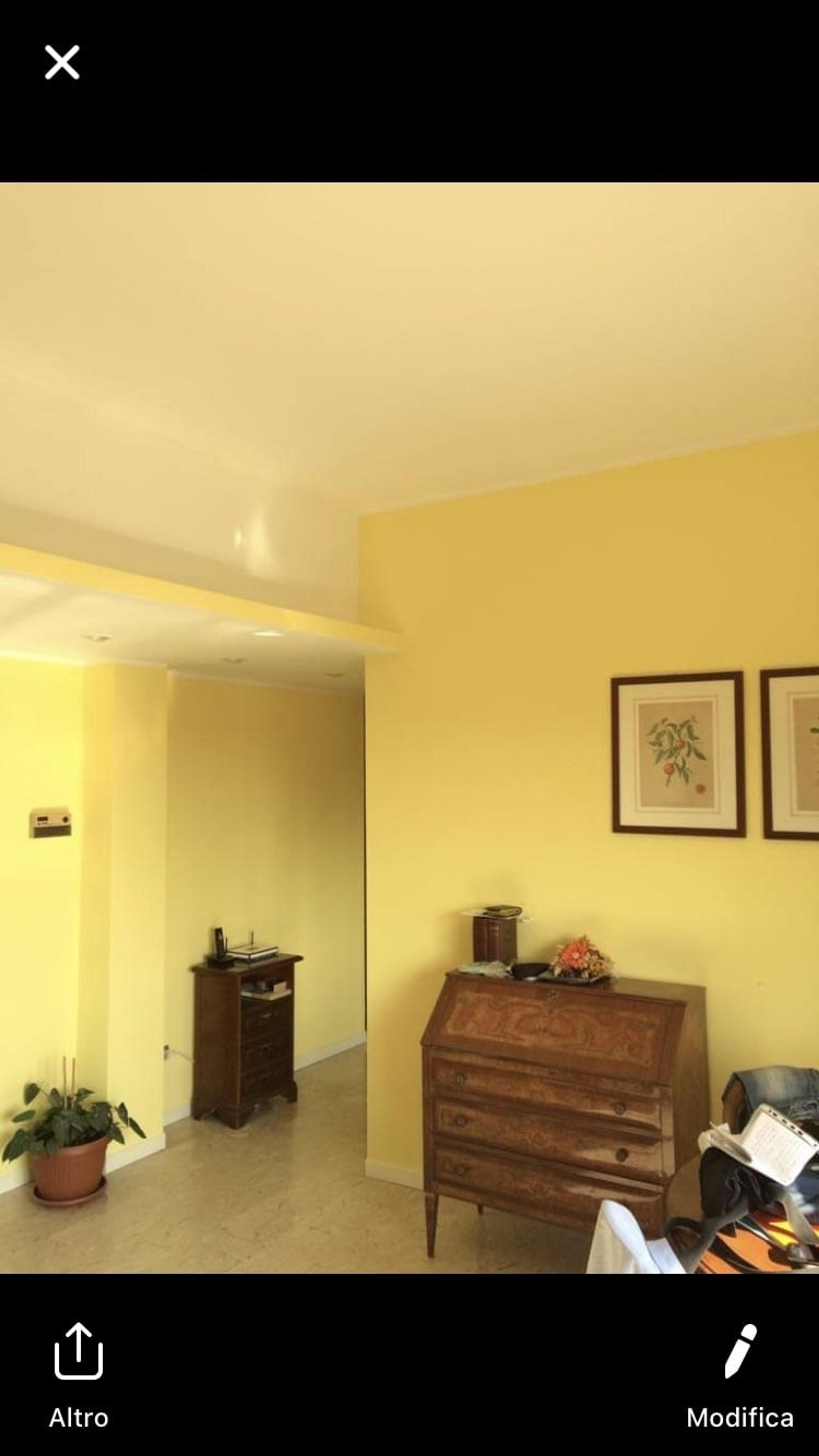 d9155e67-c31d-4b8e-b7aa-6706bcb5c24c.jpeg
