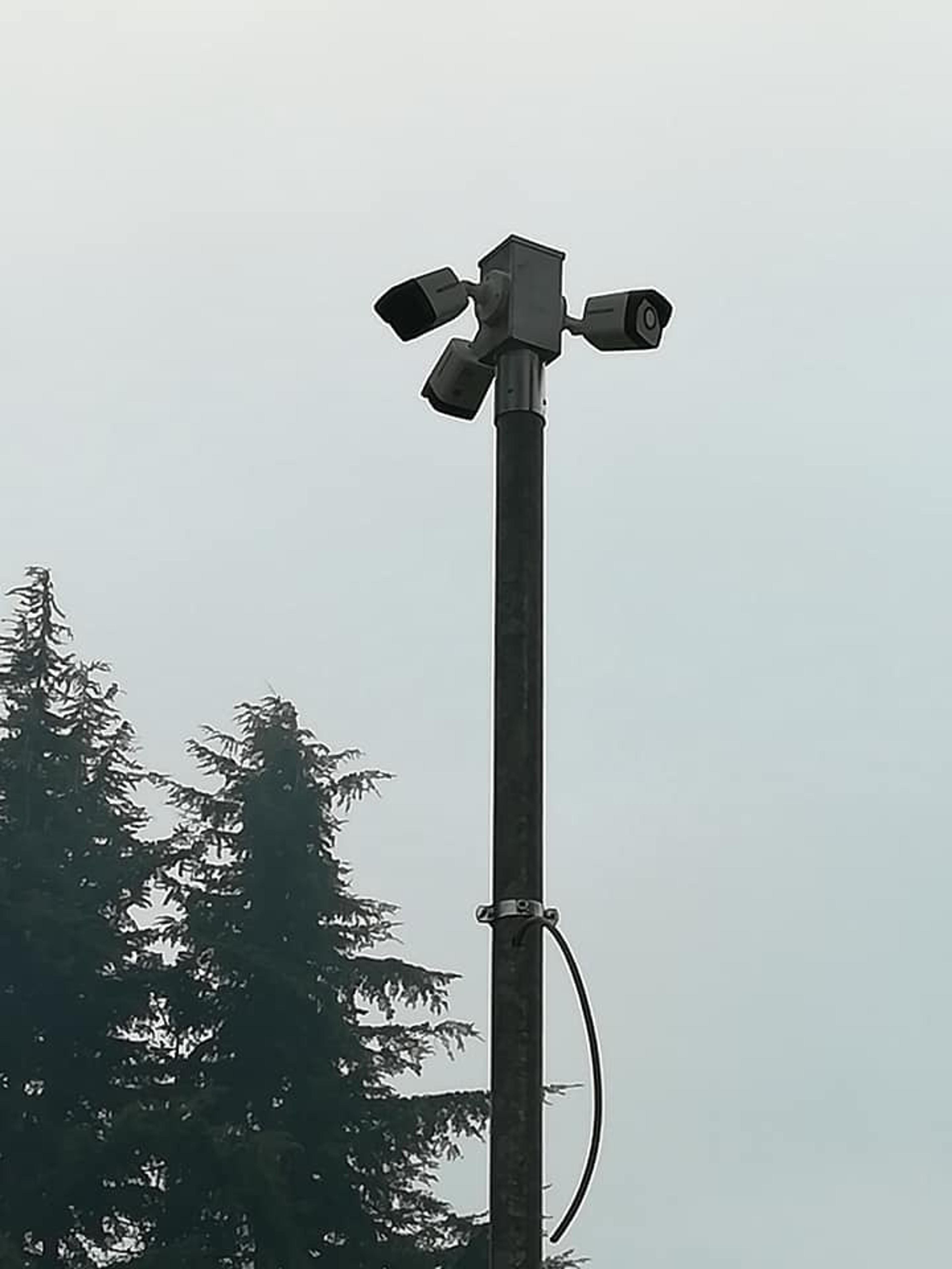 d98ec52a-c8bd-424b-af17-d876e738e88f.jpeg