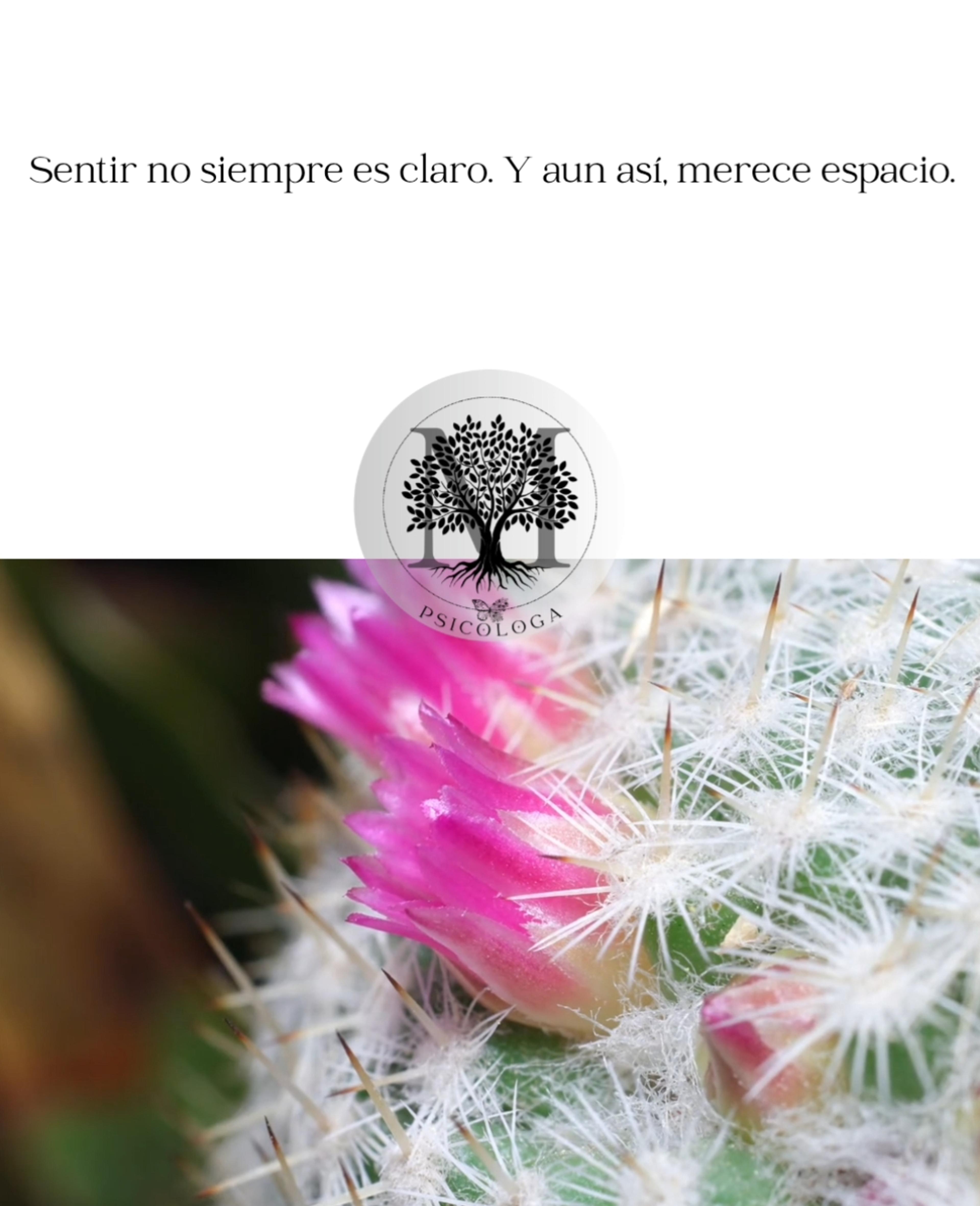 d9a5c432-b15f-4d1e-97d8-effe0d160b72.jpeg