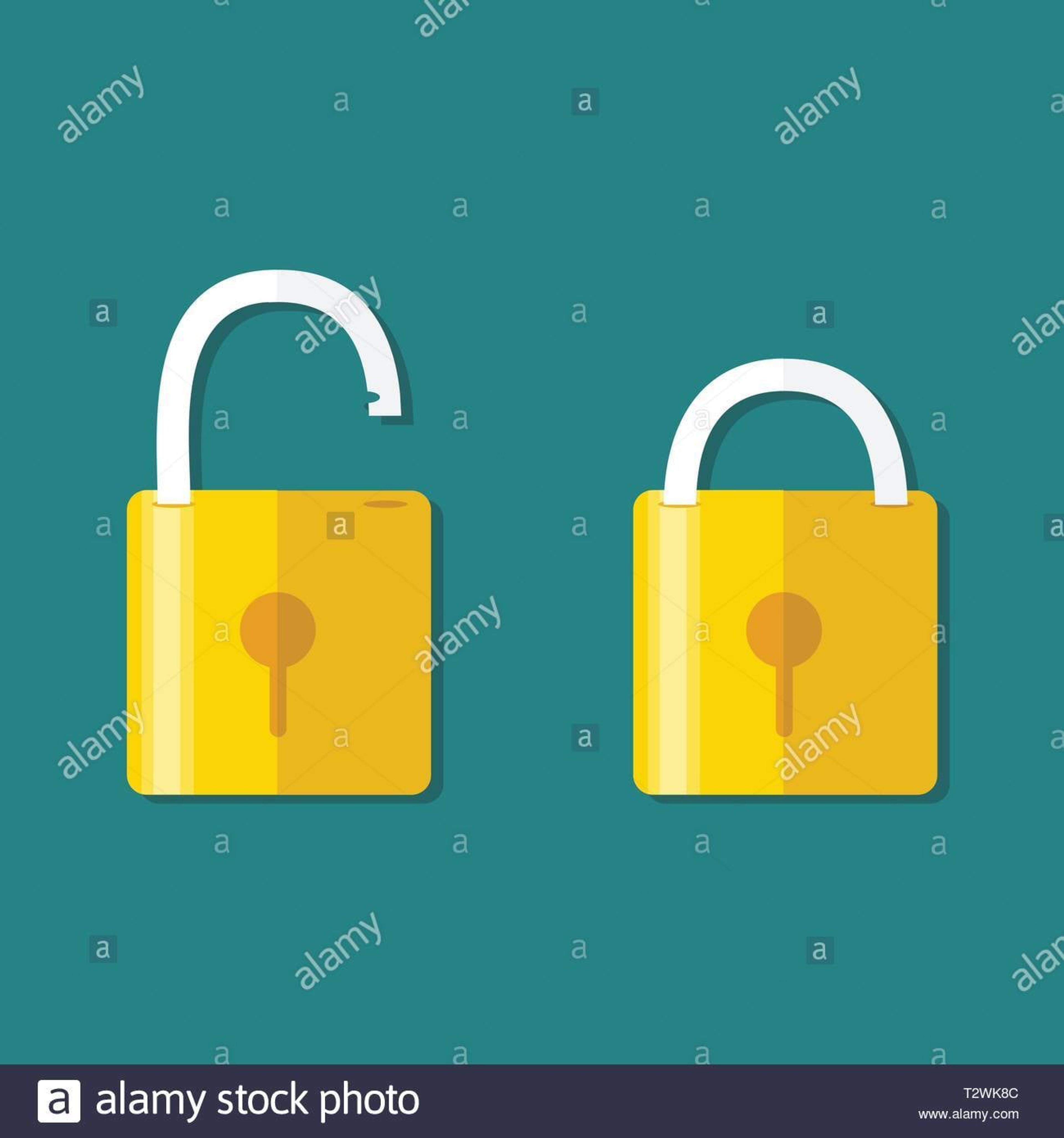 da1a64c0-ecc2-4f6e-bafd-a7c678771843.jpeg