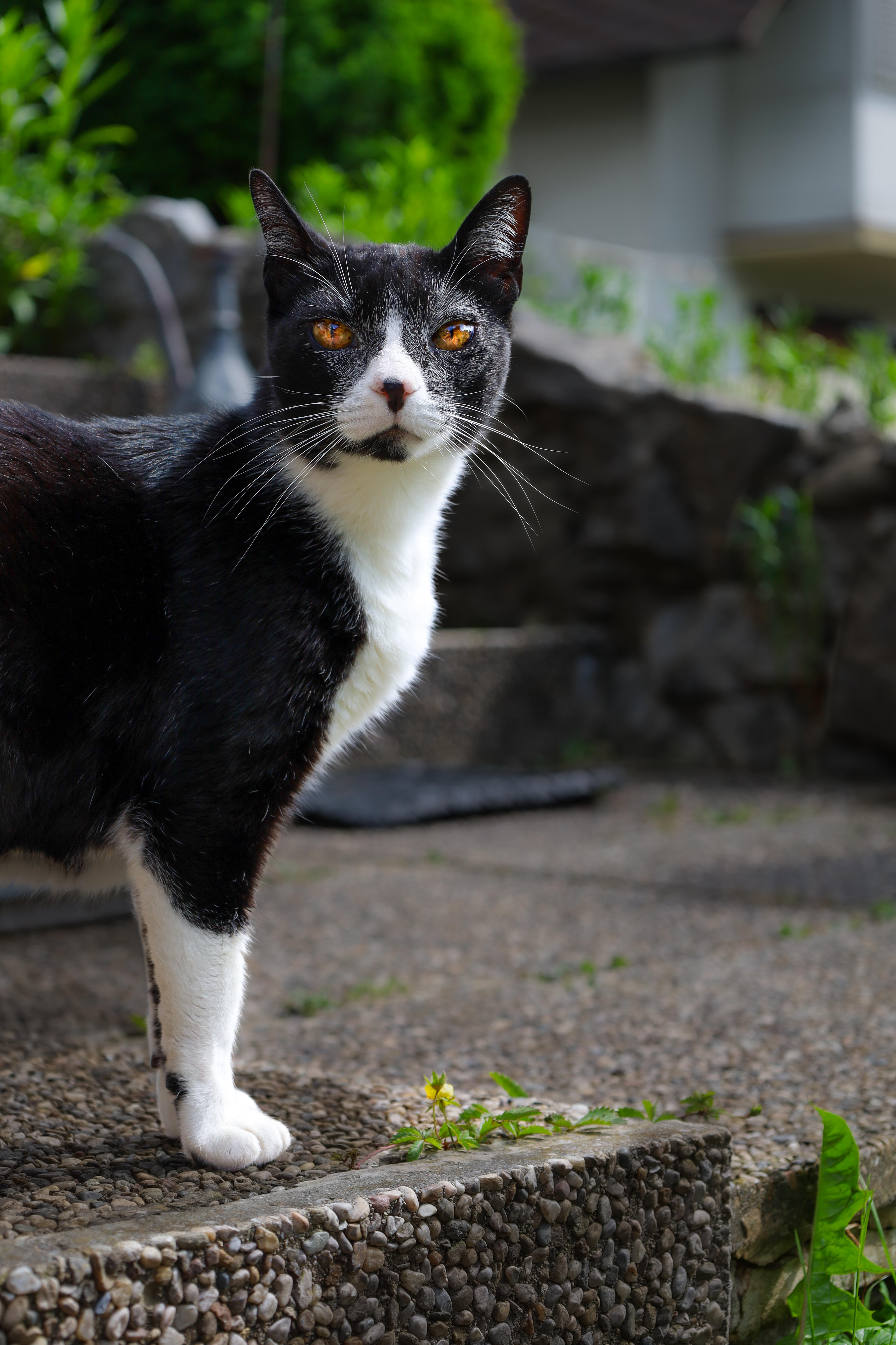 da62179a-b620-43ac-829b-44278868ed90.jpeg